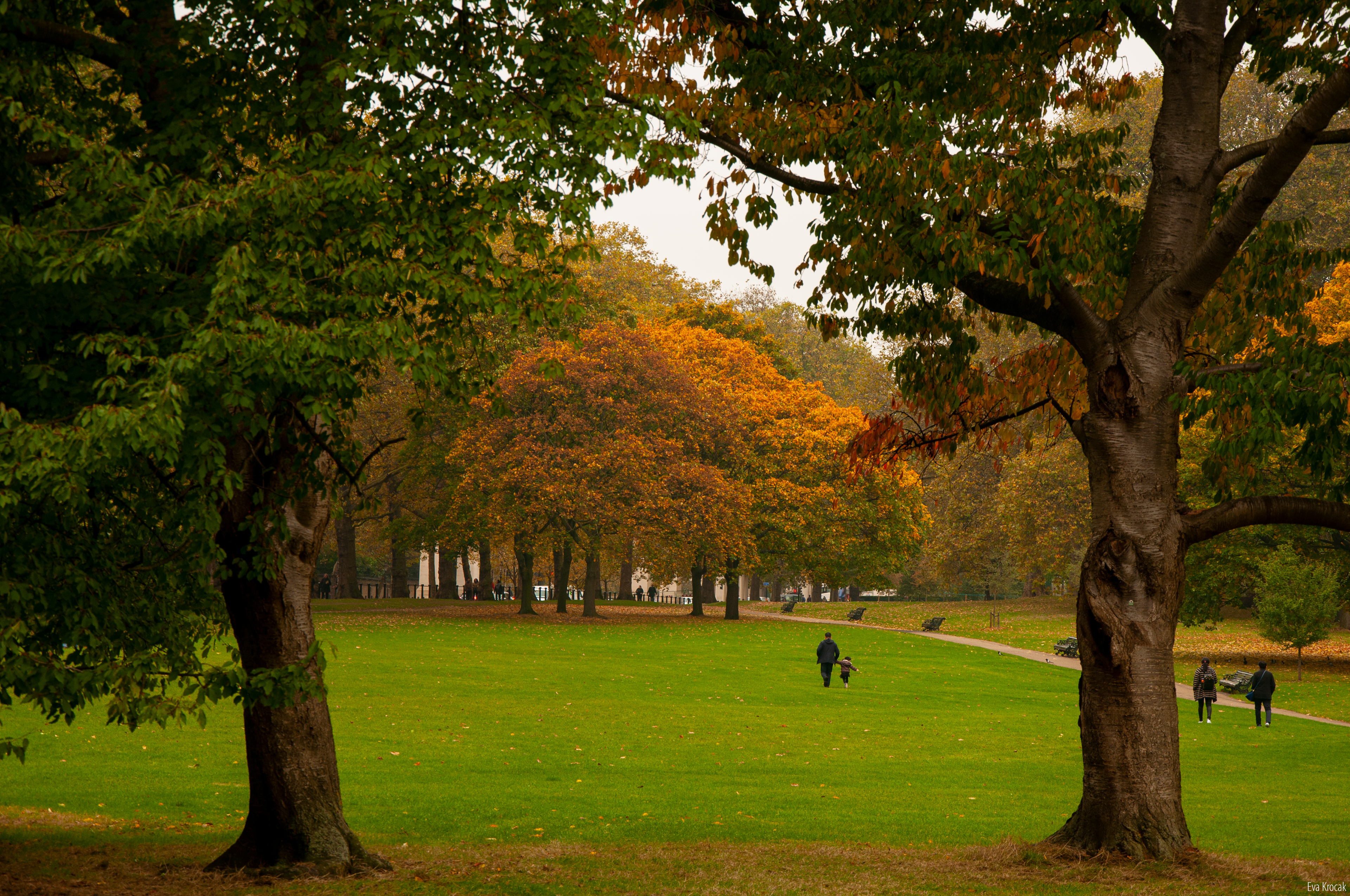 Green Park