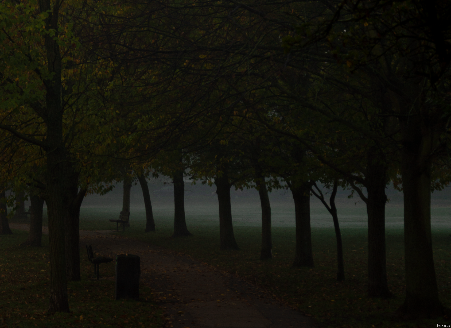 Ravenscourt Park