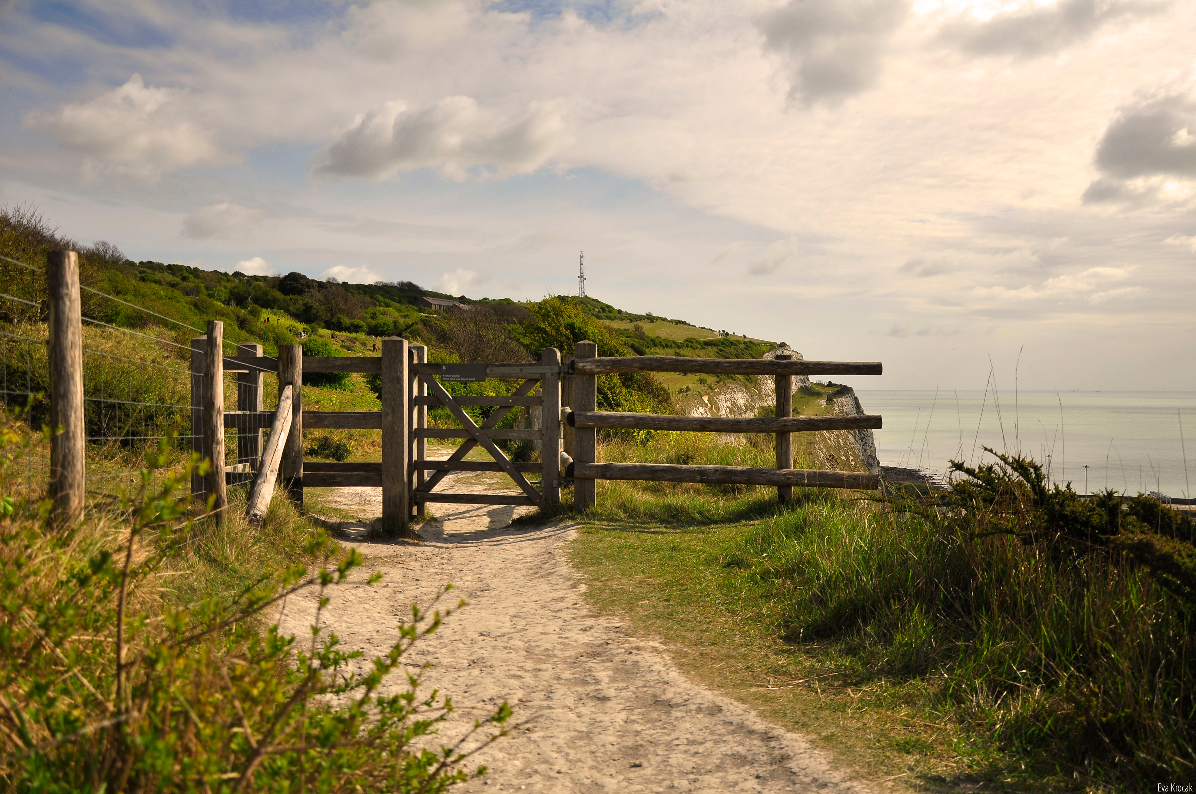Dover