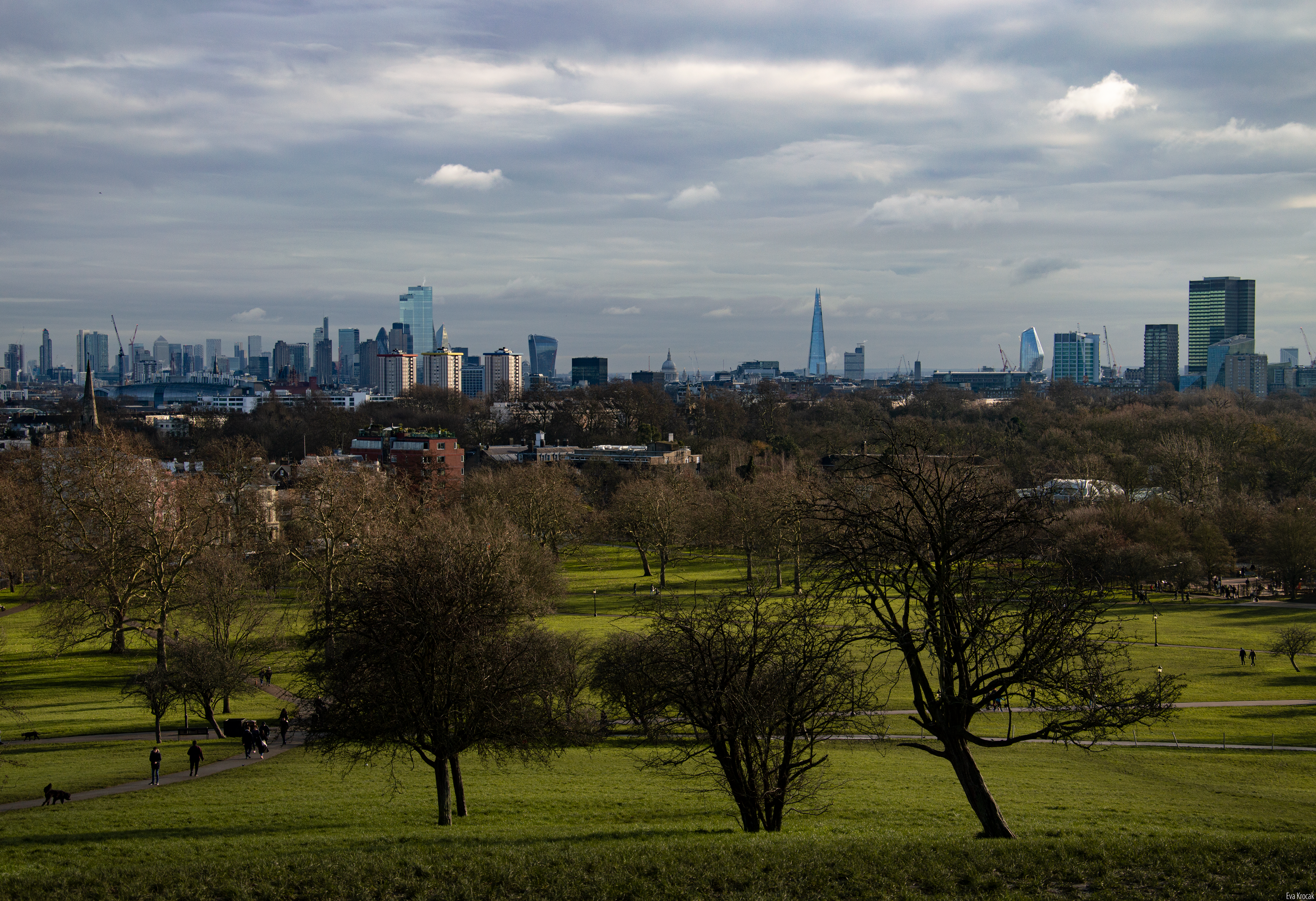 Primrose Hill view