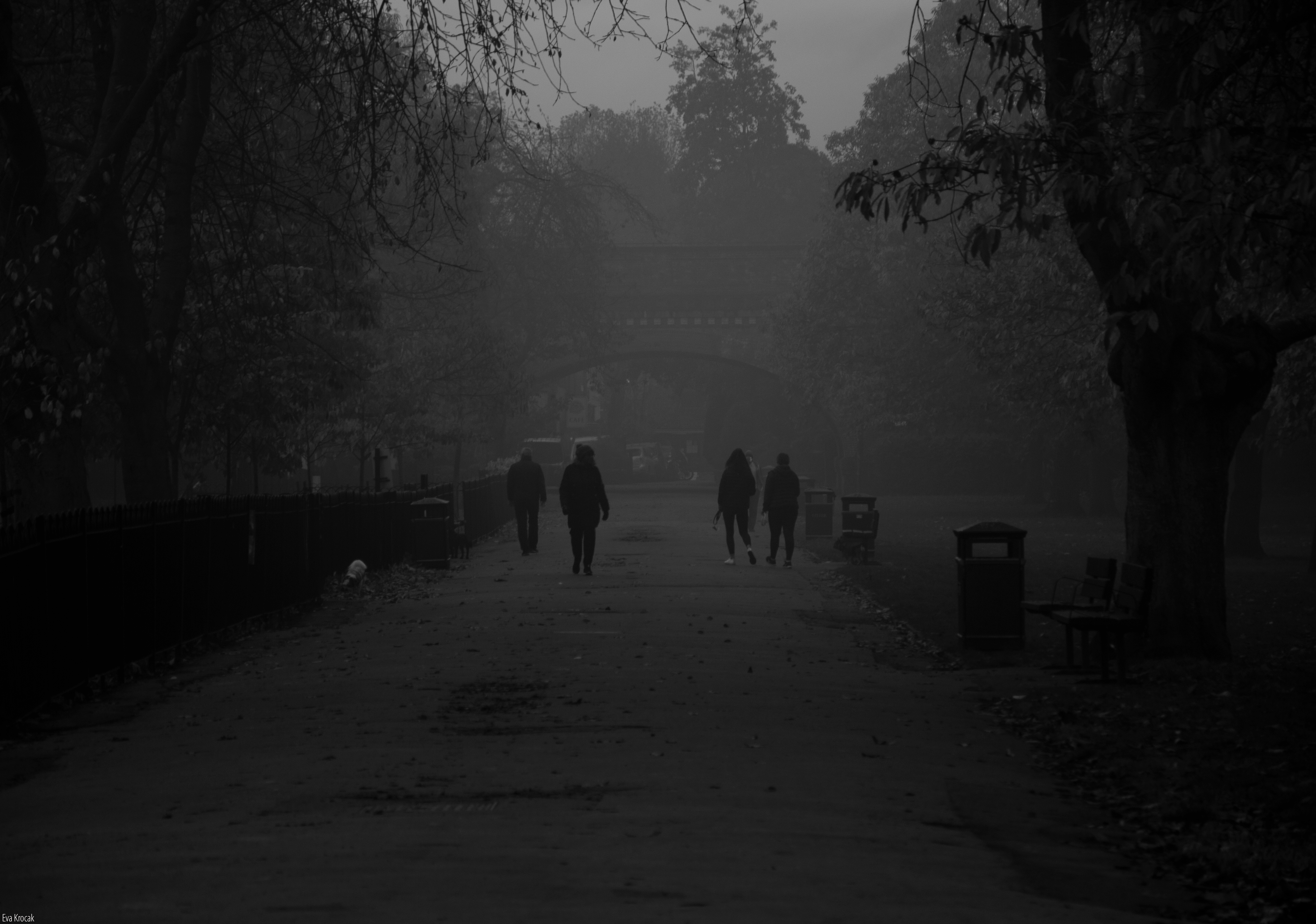 Ravenscourt Park
