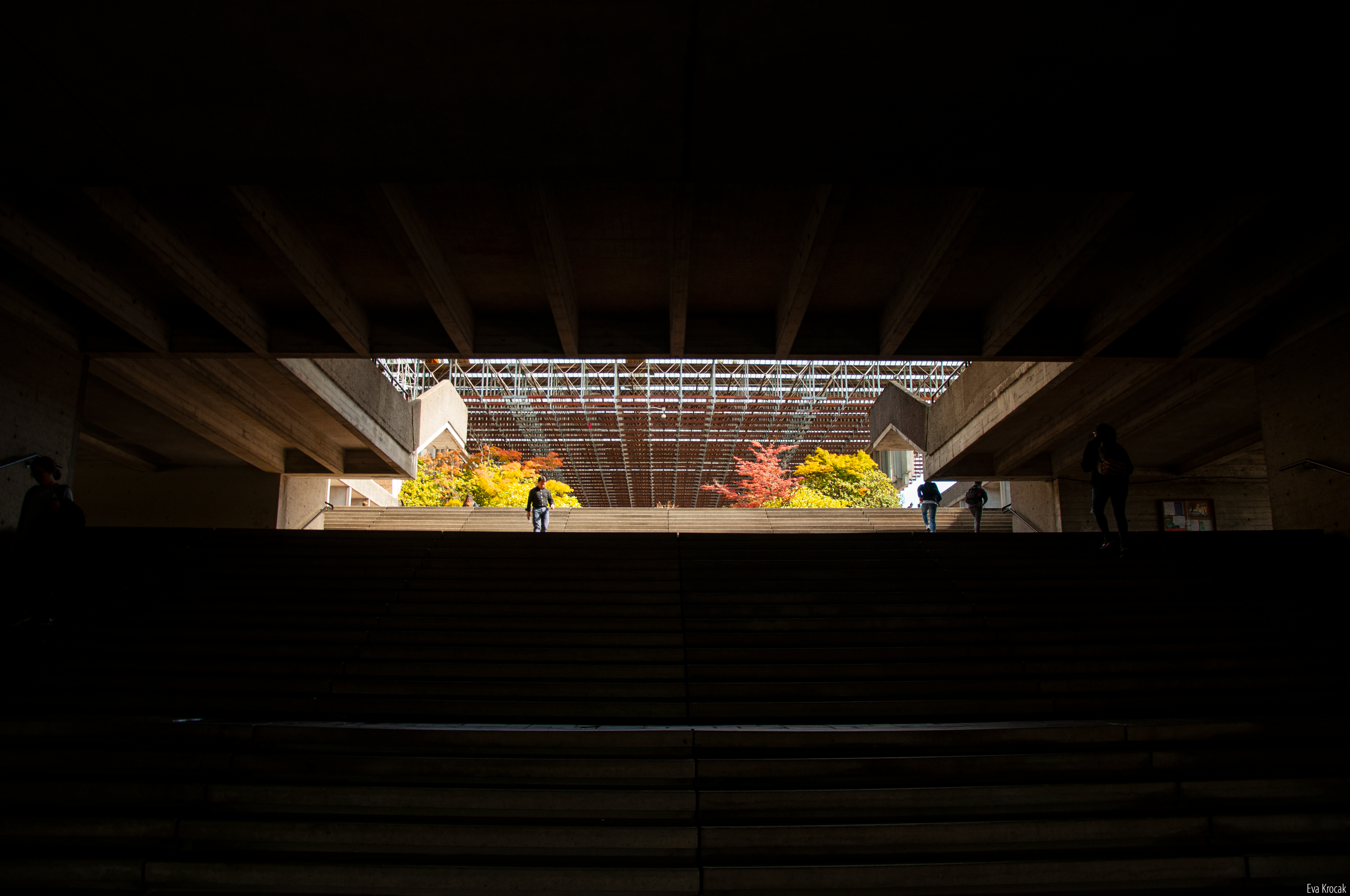 Simon Fraser University