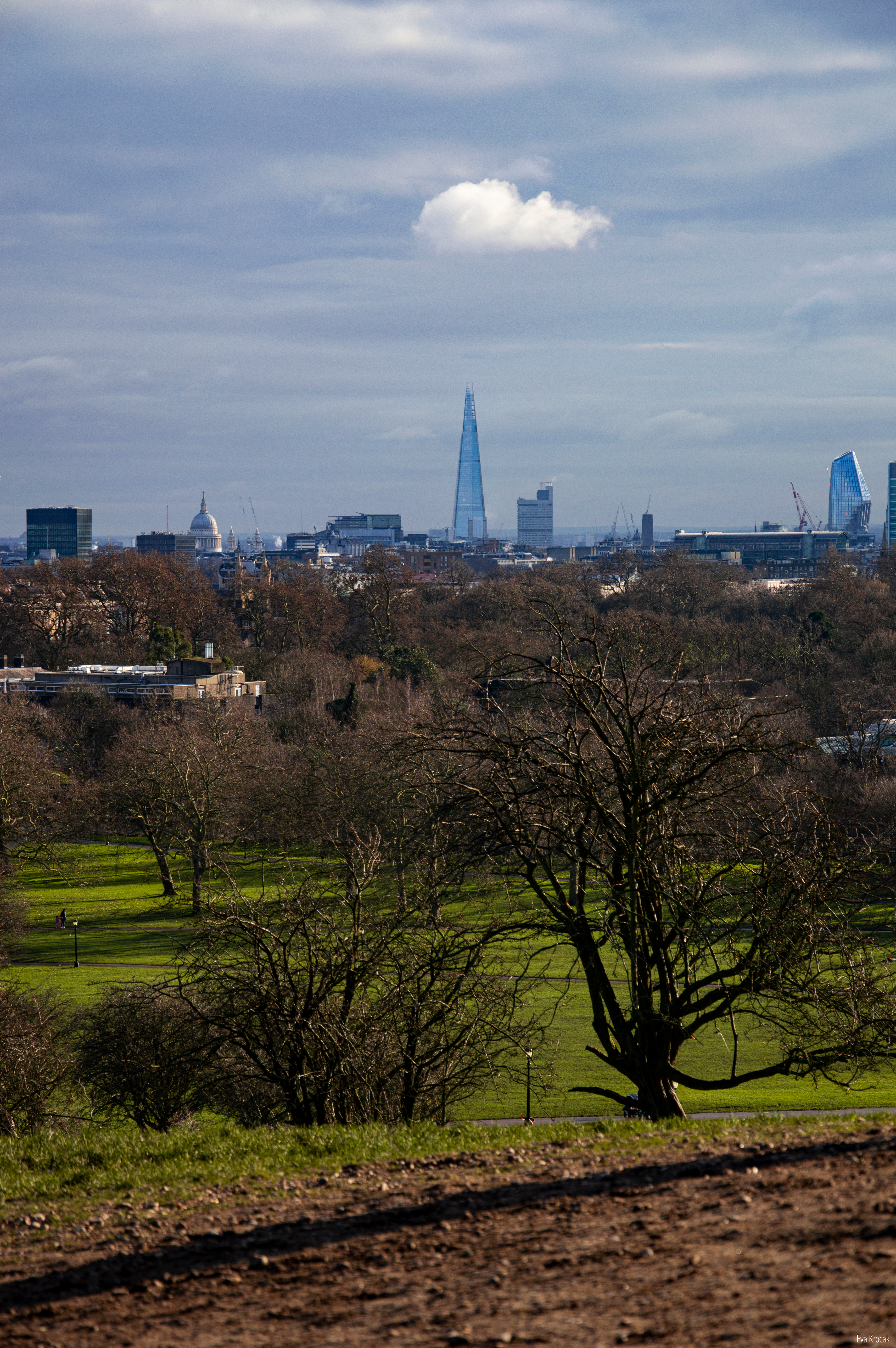 Primrose Hill view