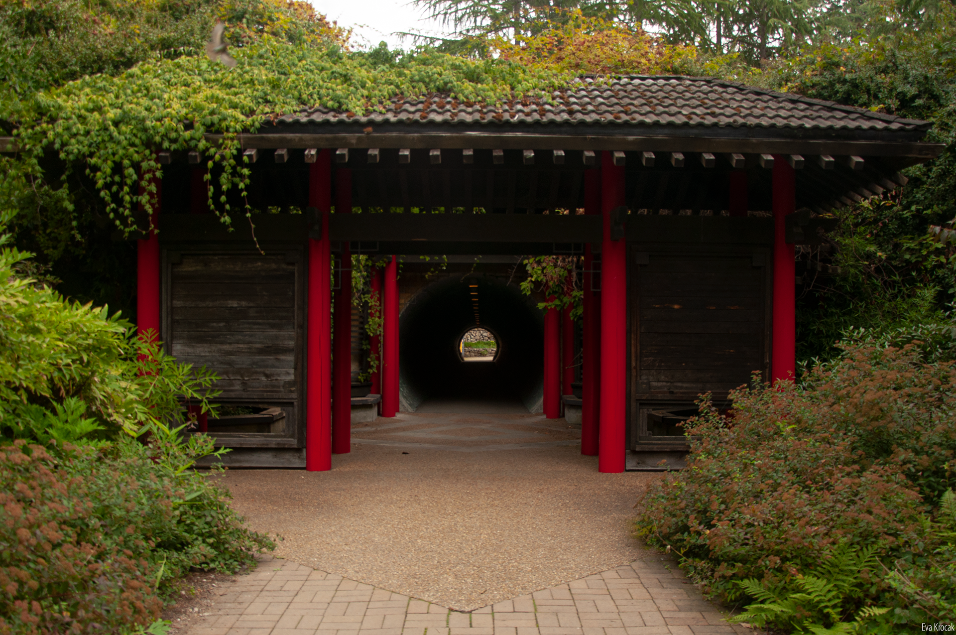 UBC Botanical Garden