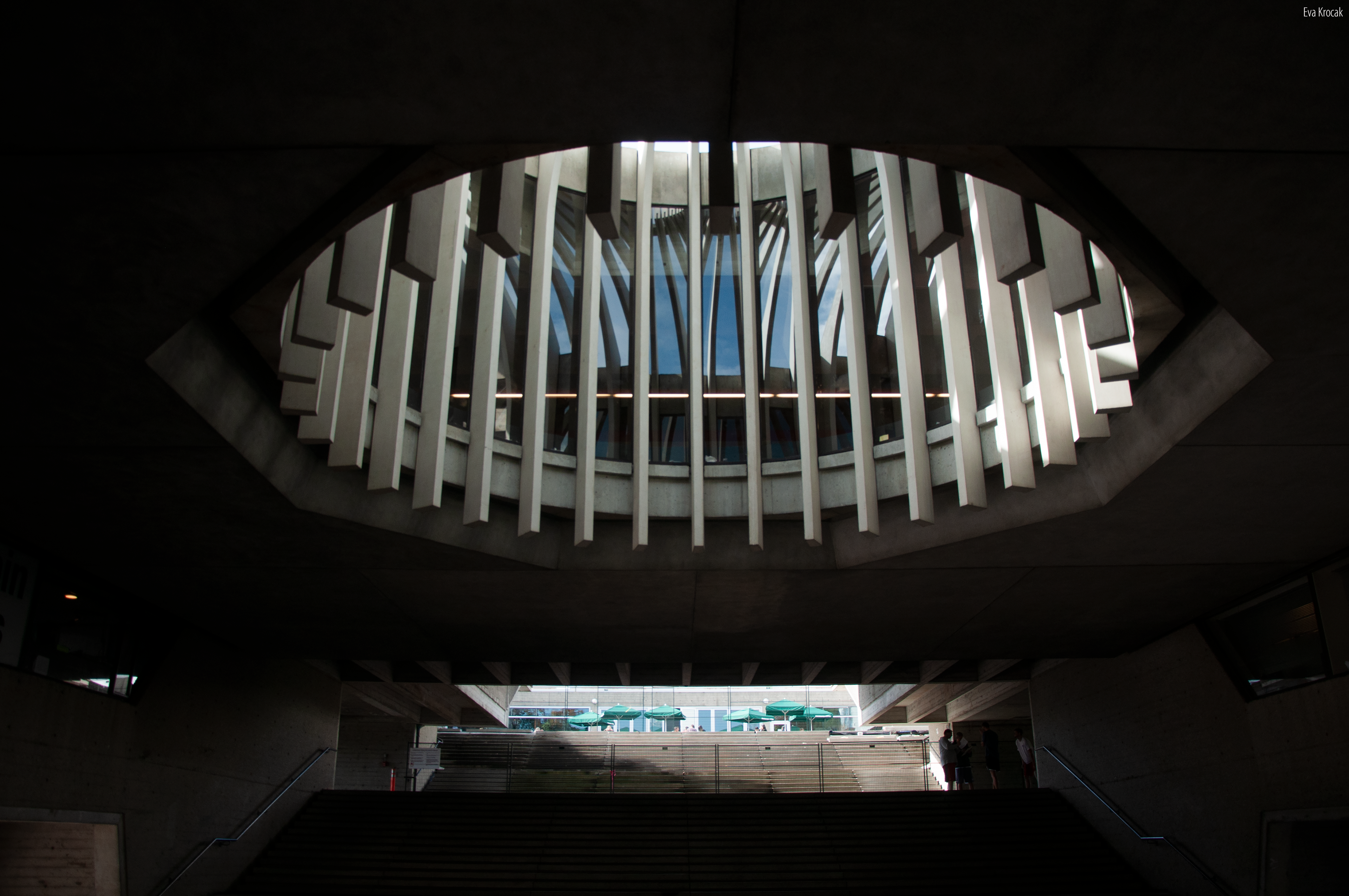 Simon Fraser University