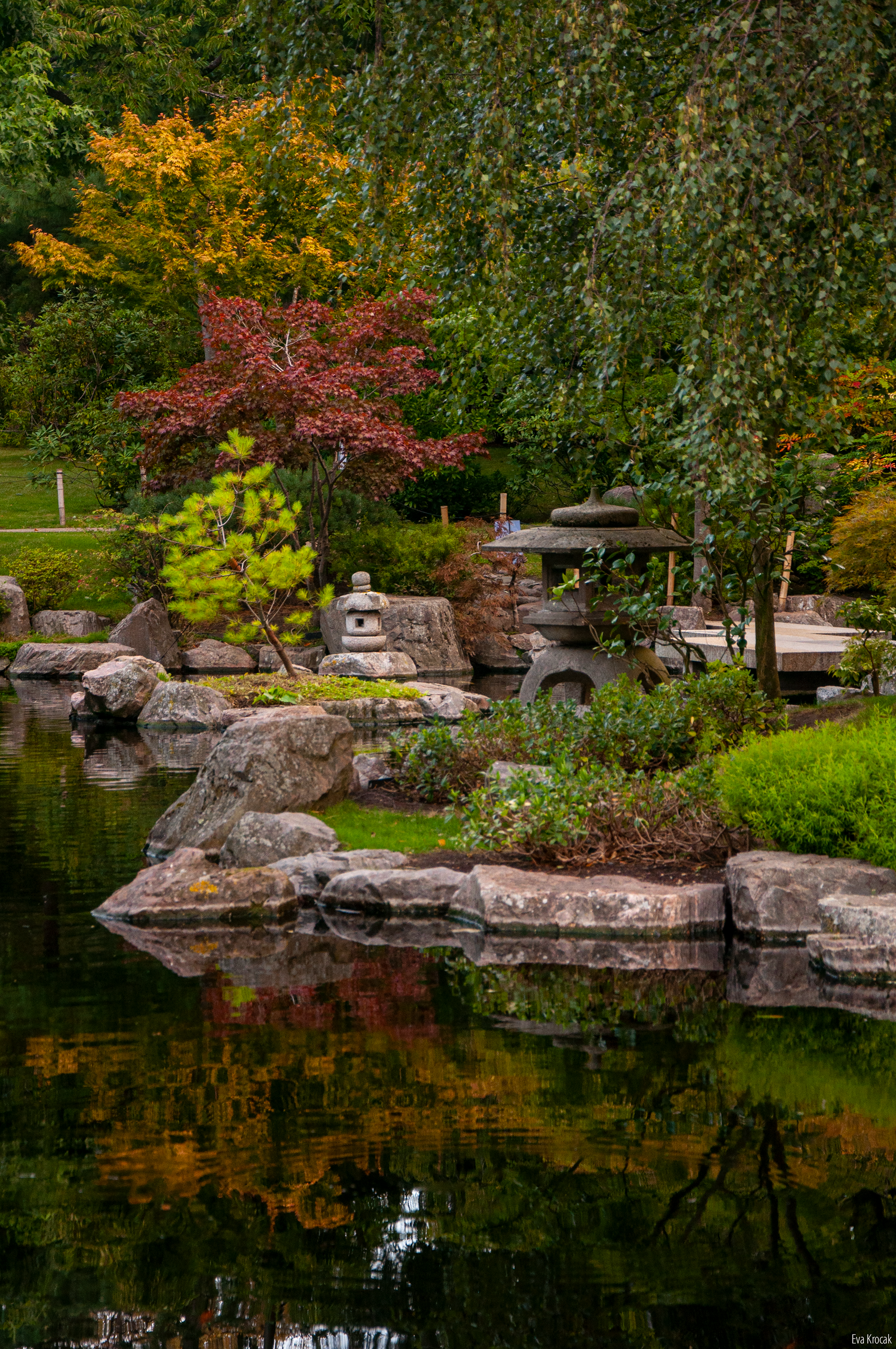 Kyoto Garden