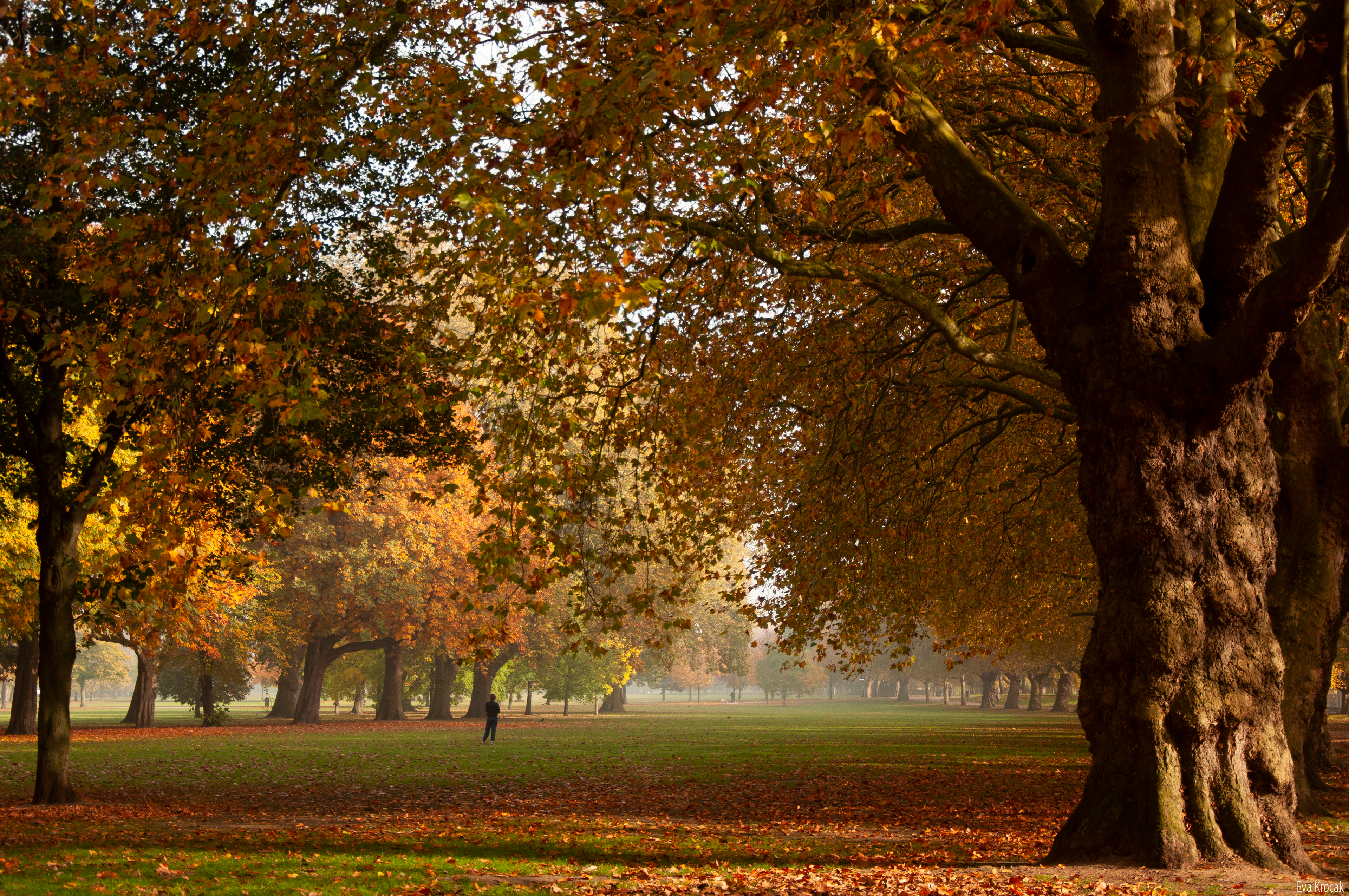 Victoria Park