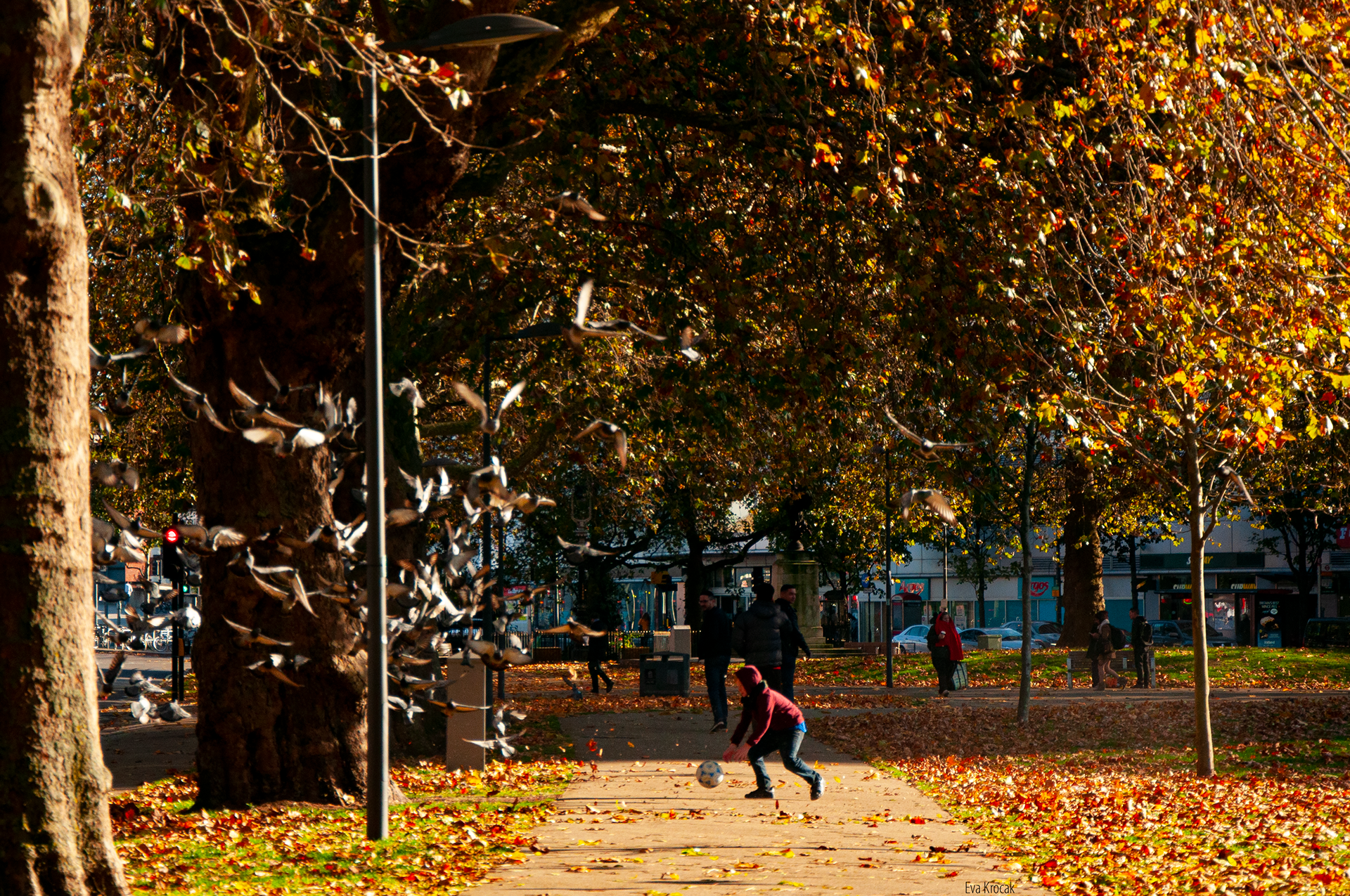 Shepherd's Bush 