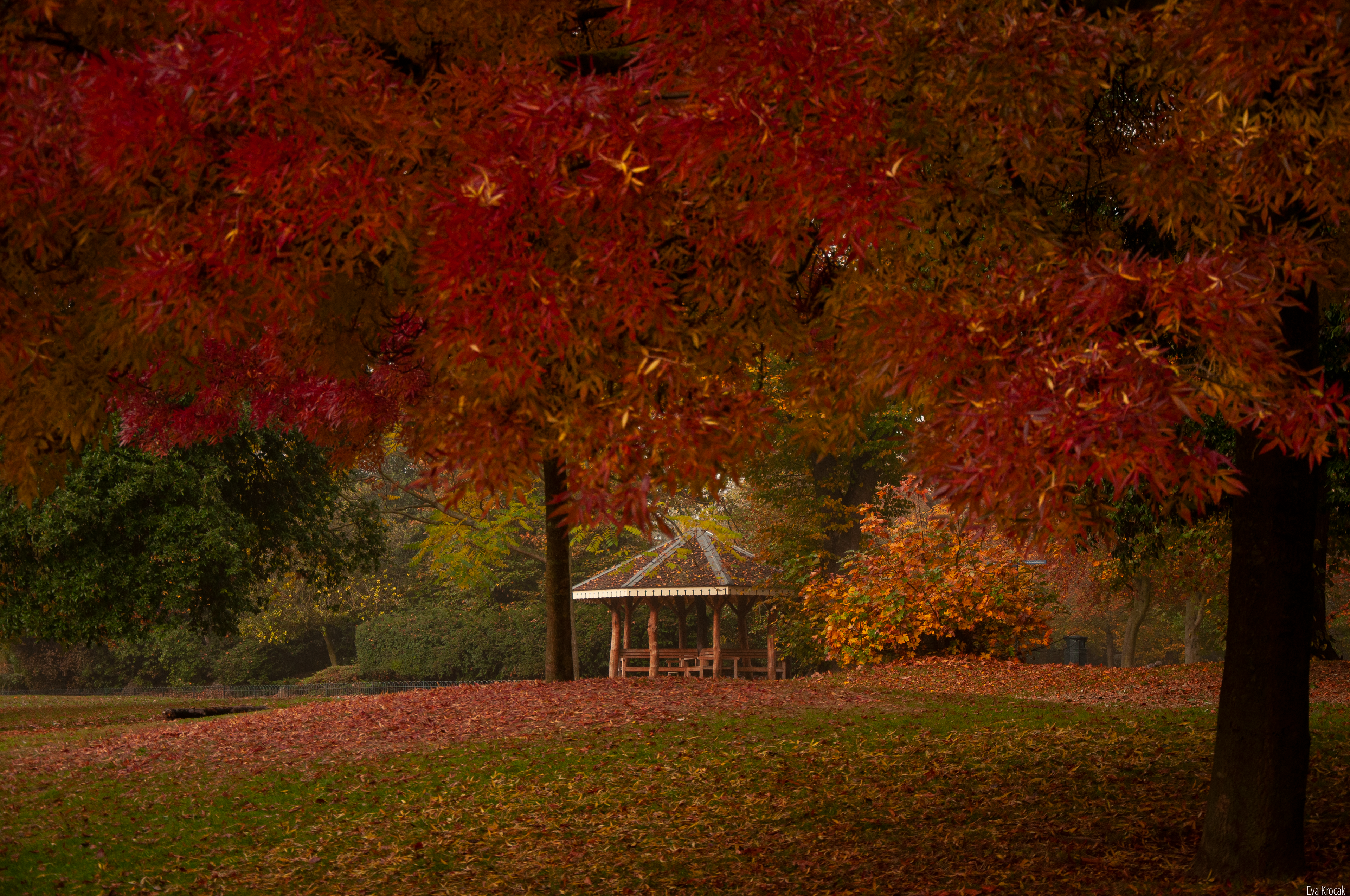 Victoria Park