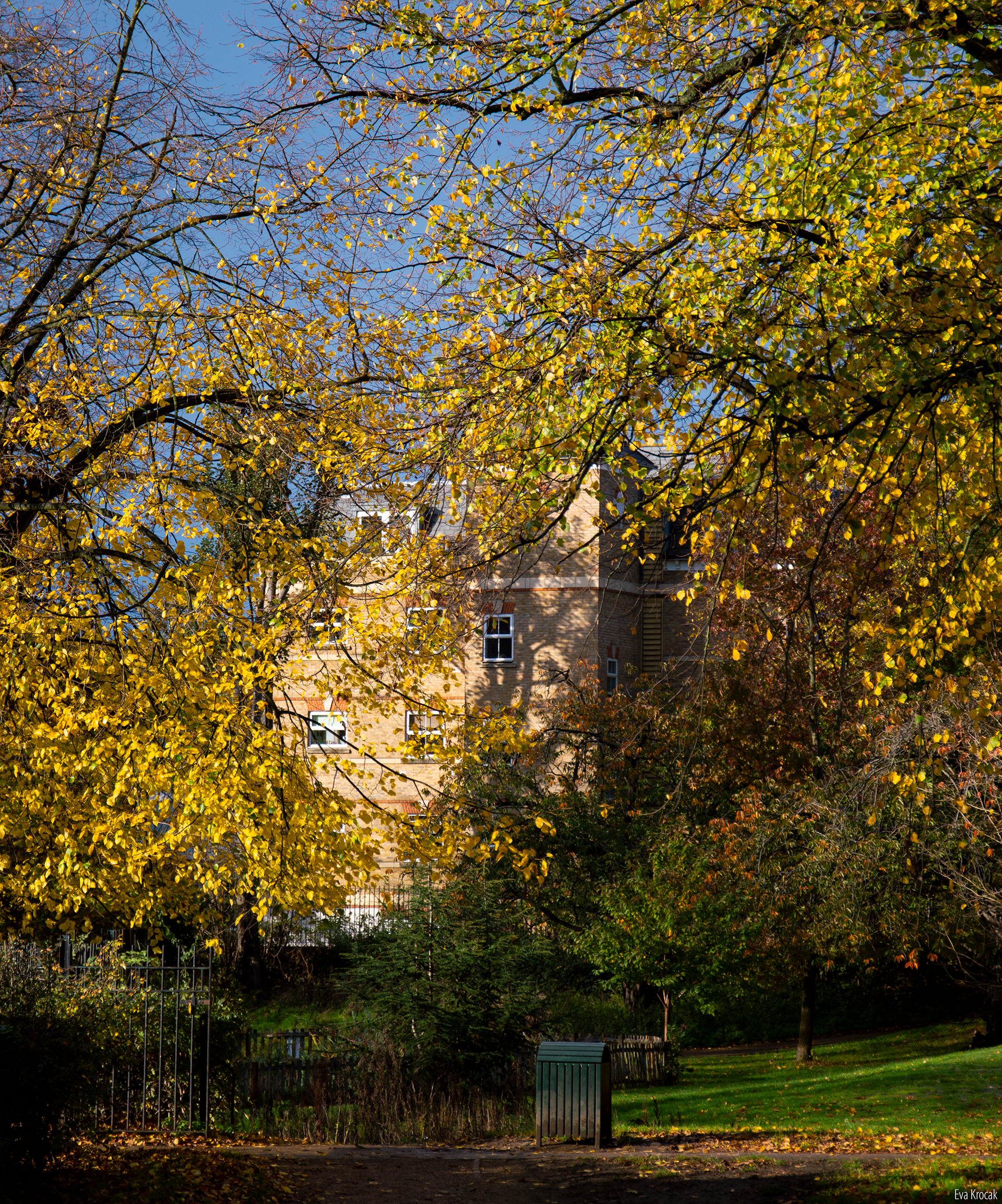Acton Park