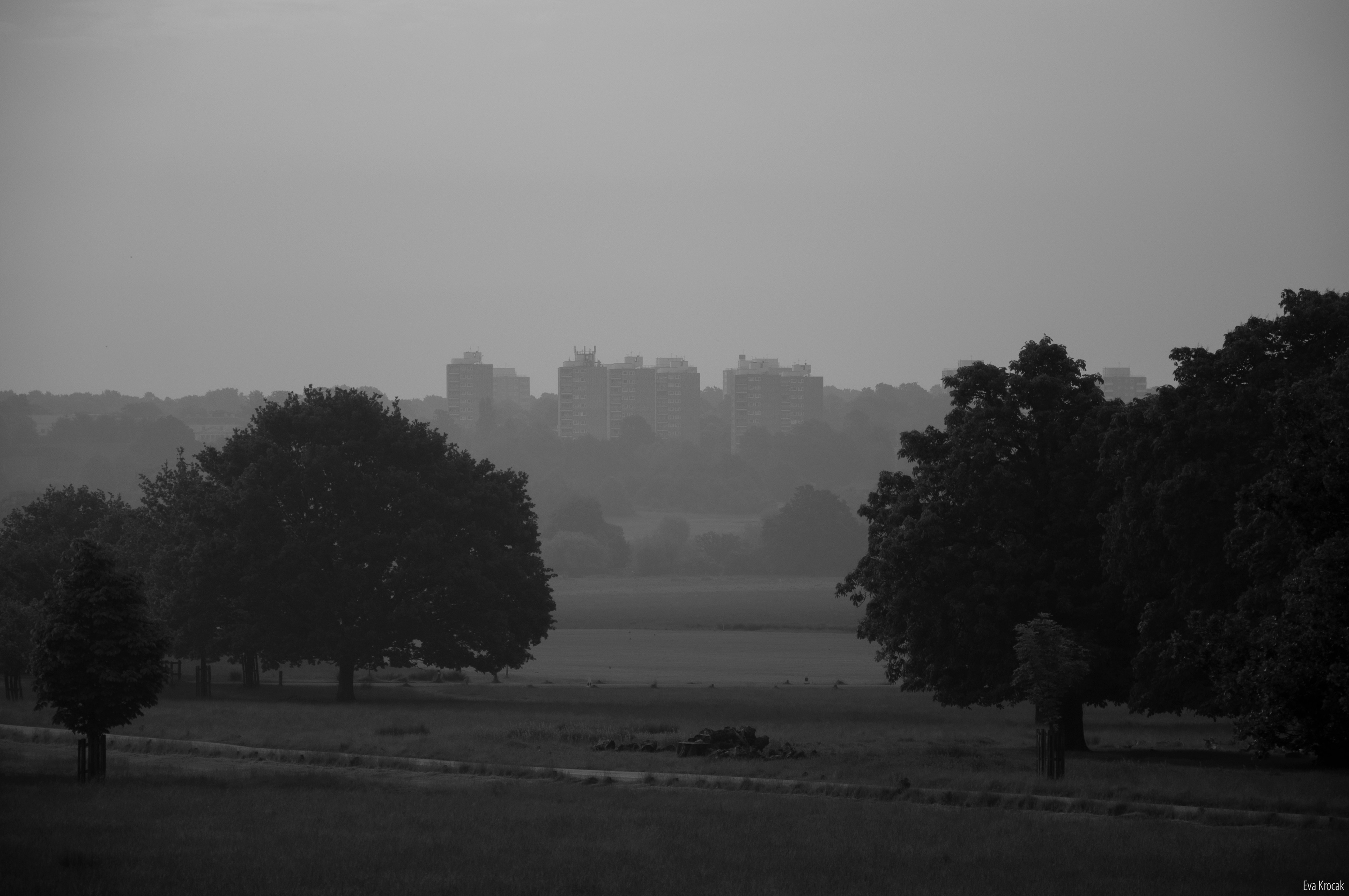 Richmond Park