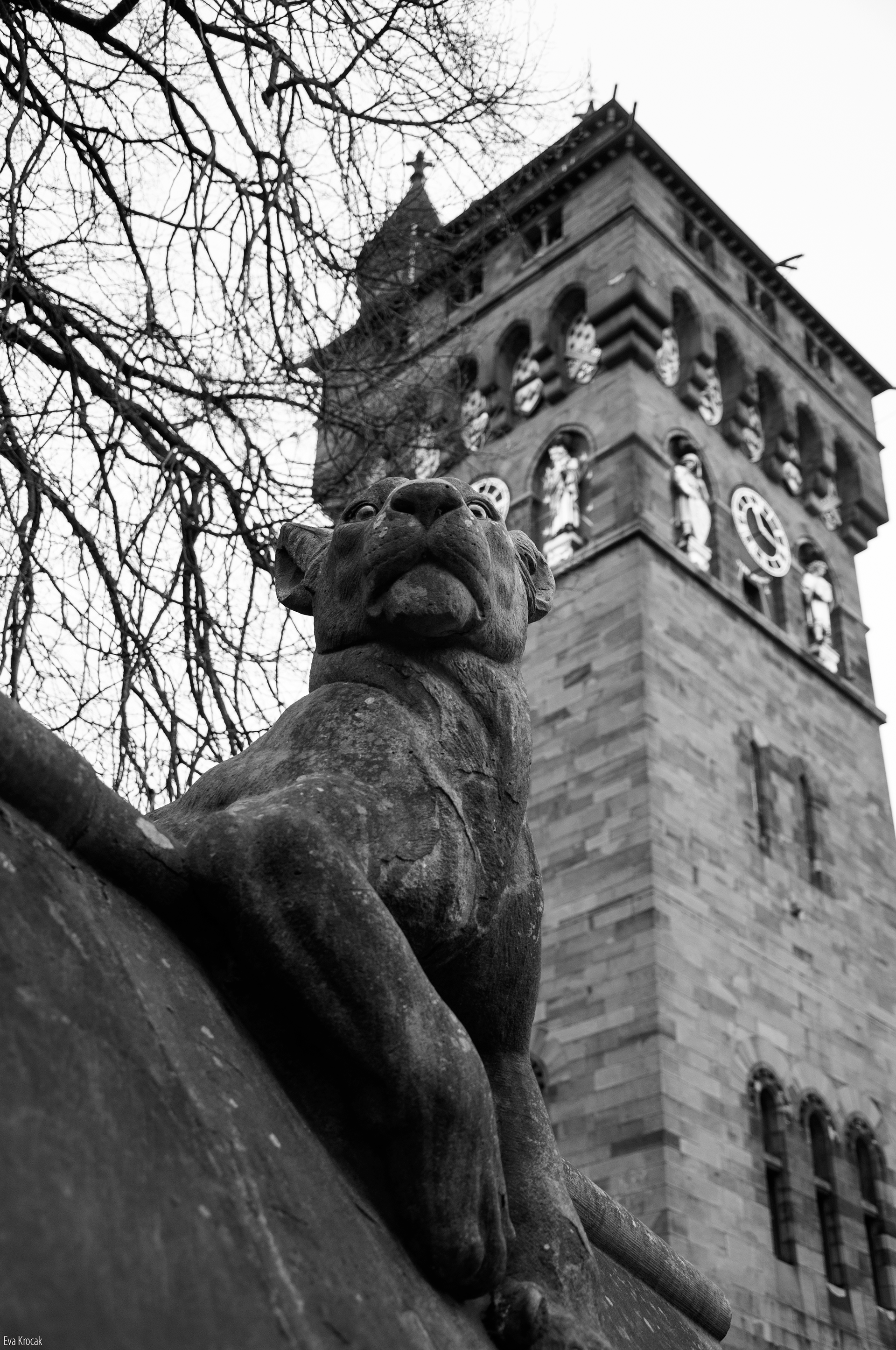 Cardiff
