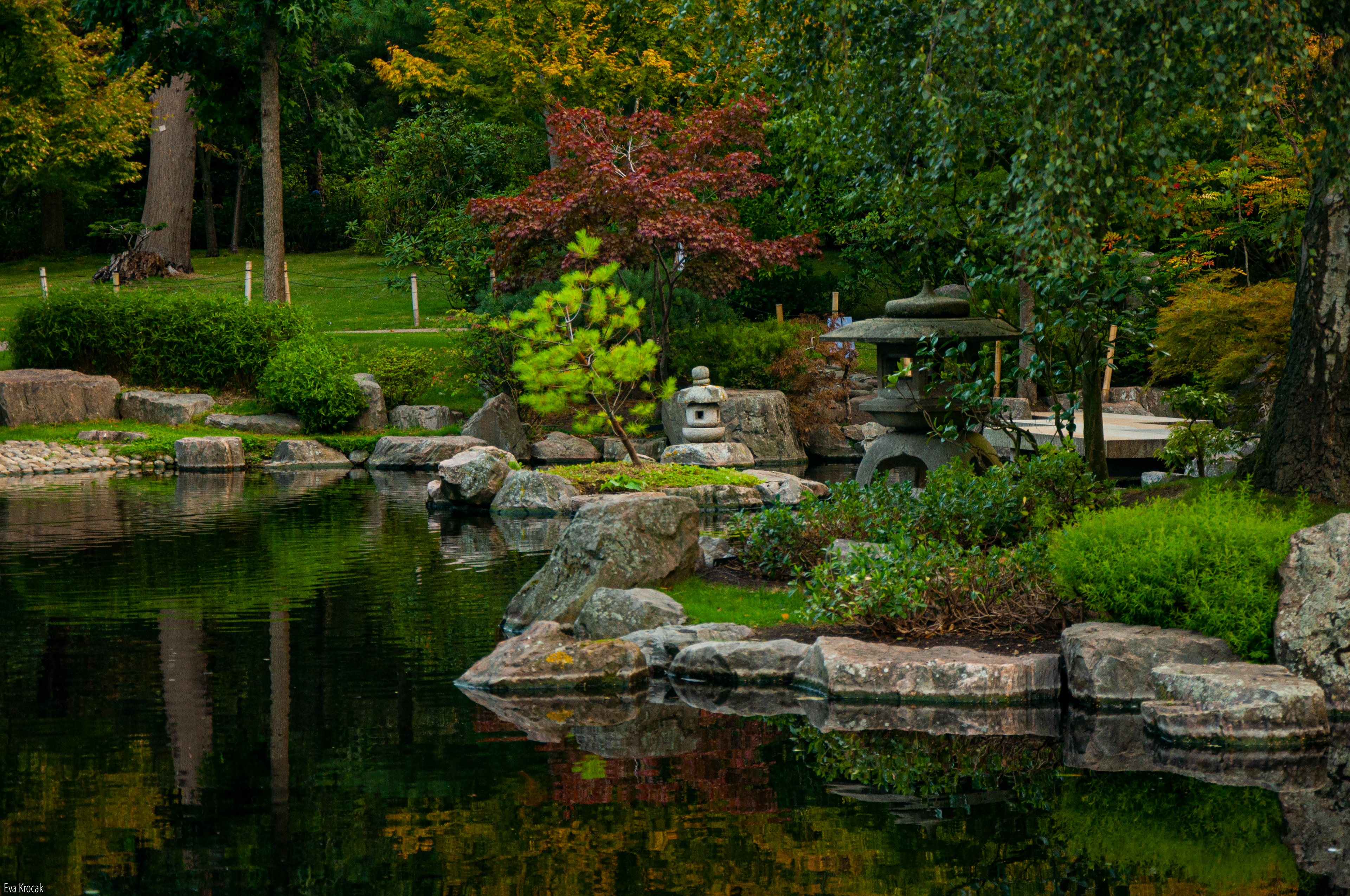 Kyoto Garden