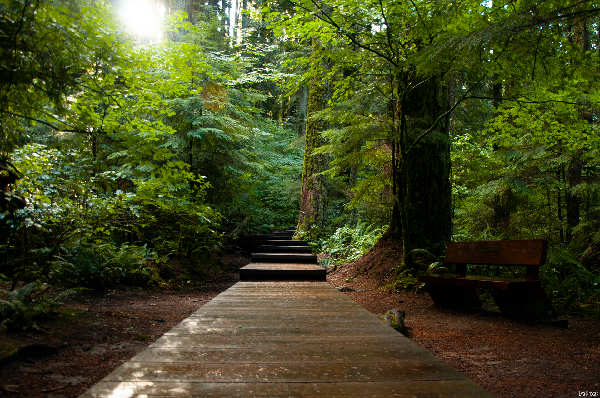 Lynn Valley