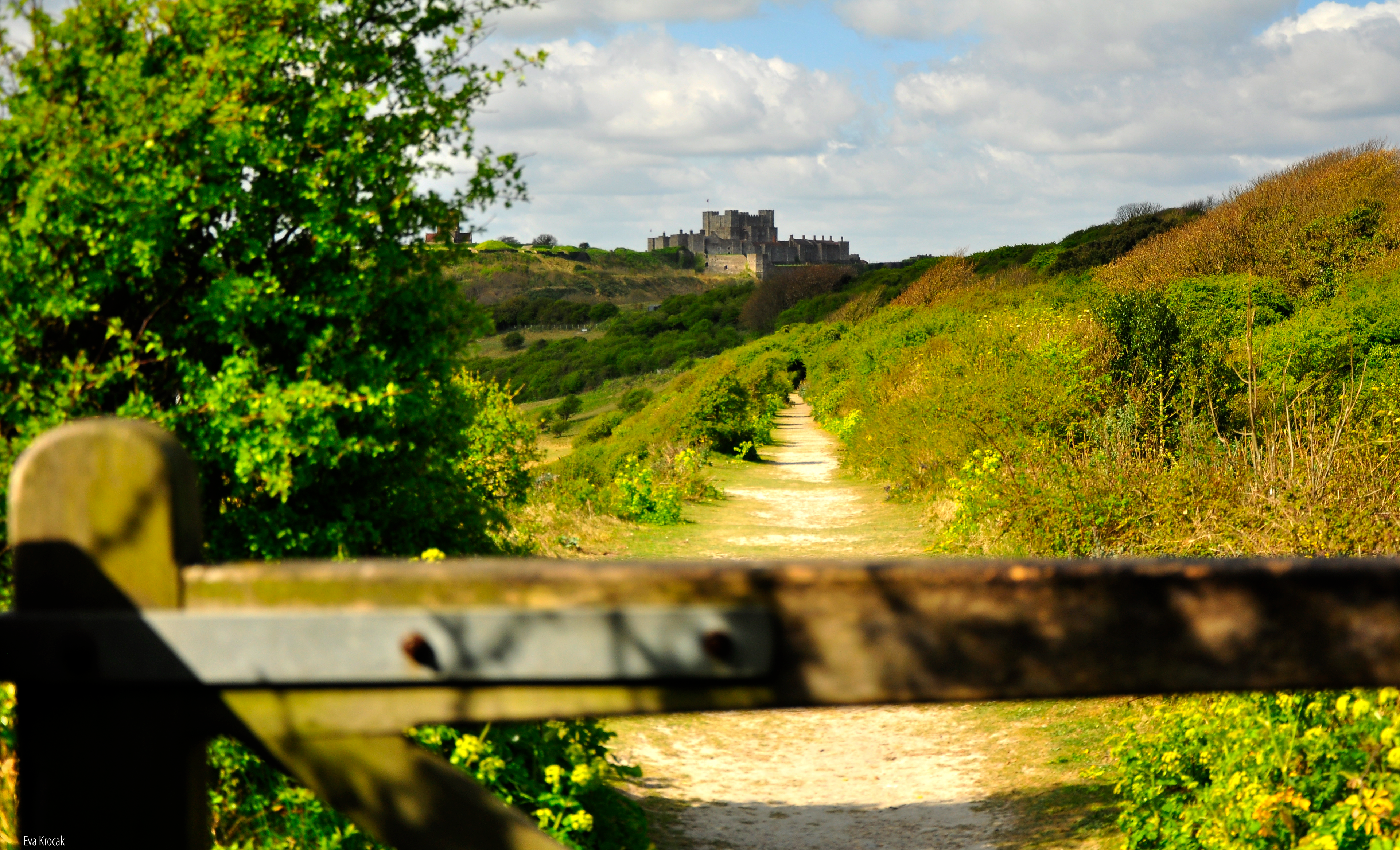 Dover