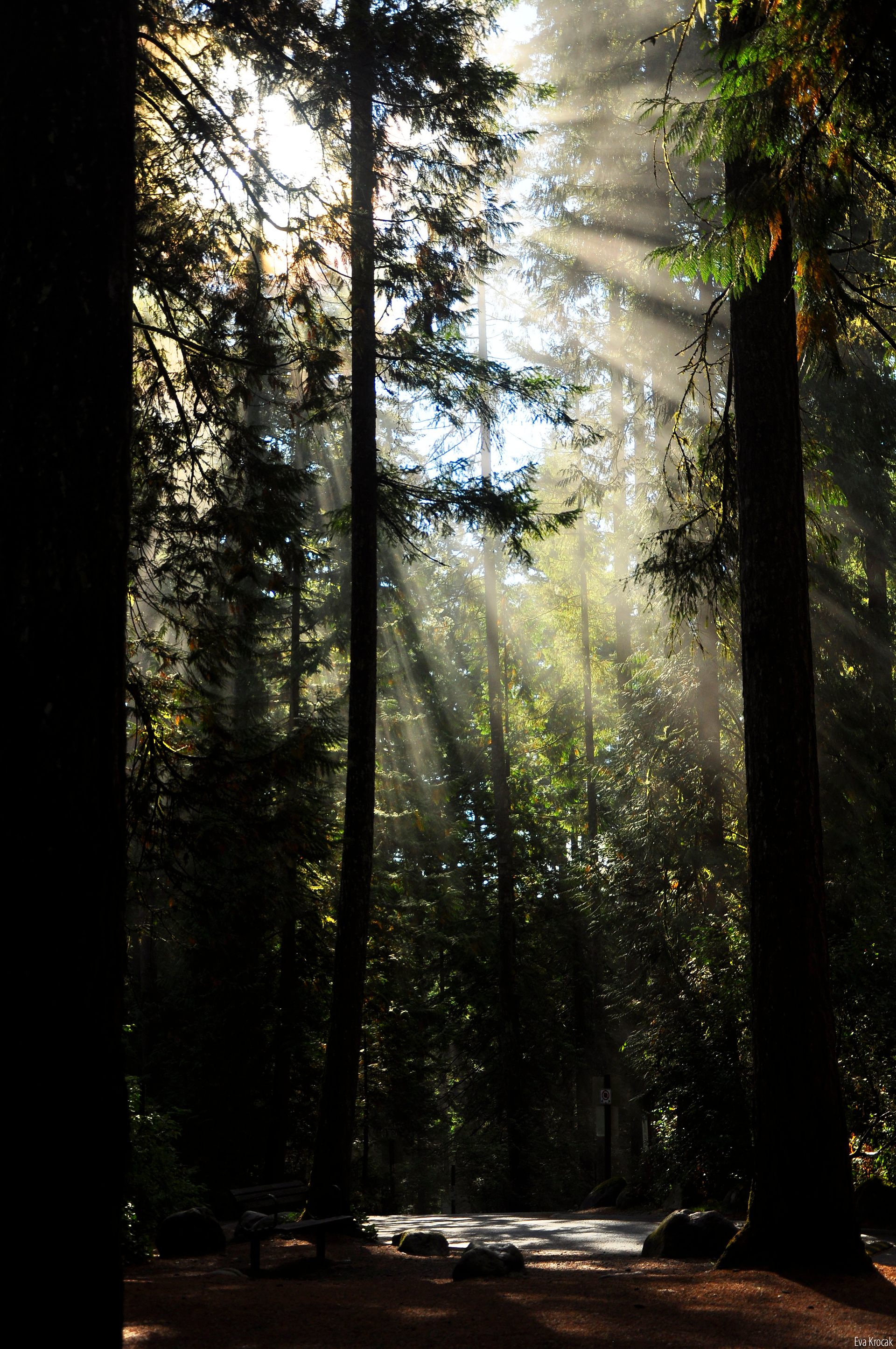 Lynn Valley