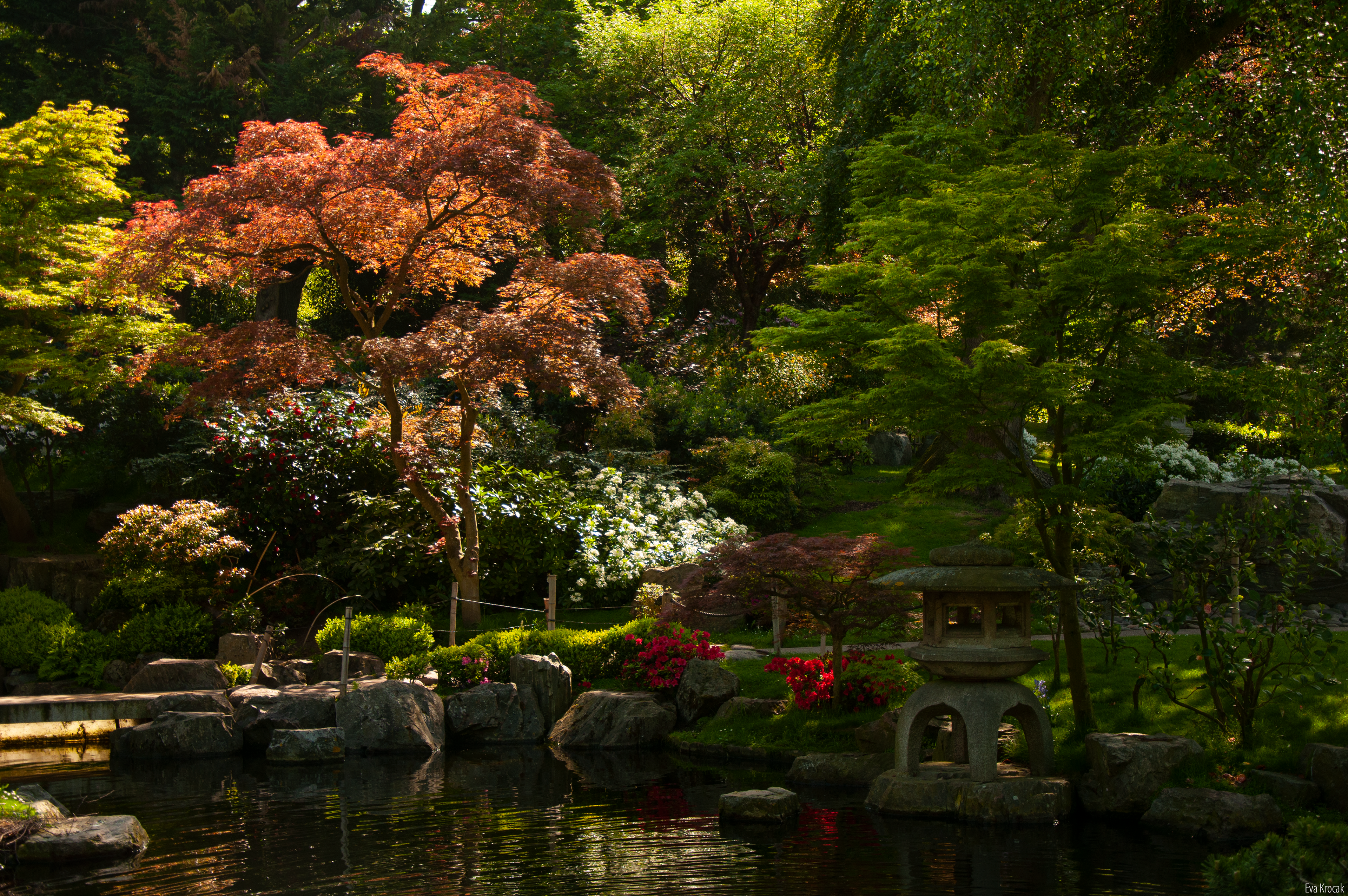 Kyoto Garden