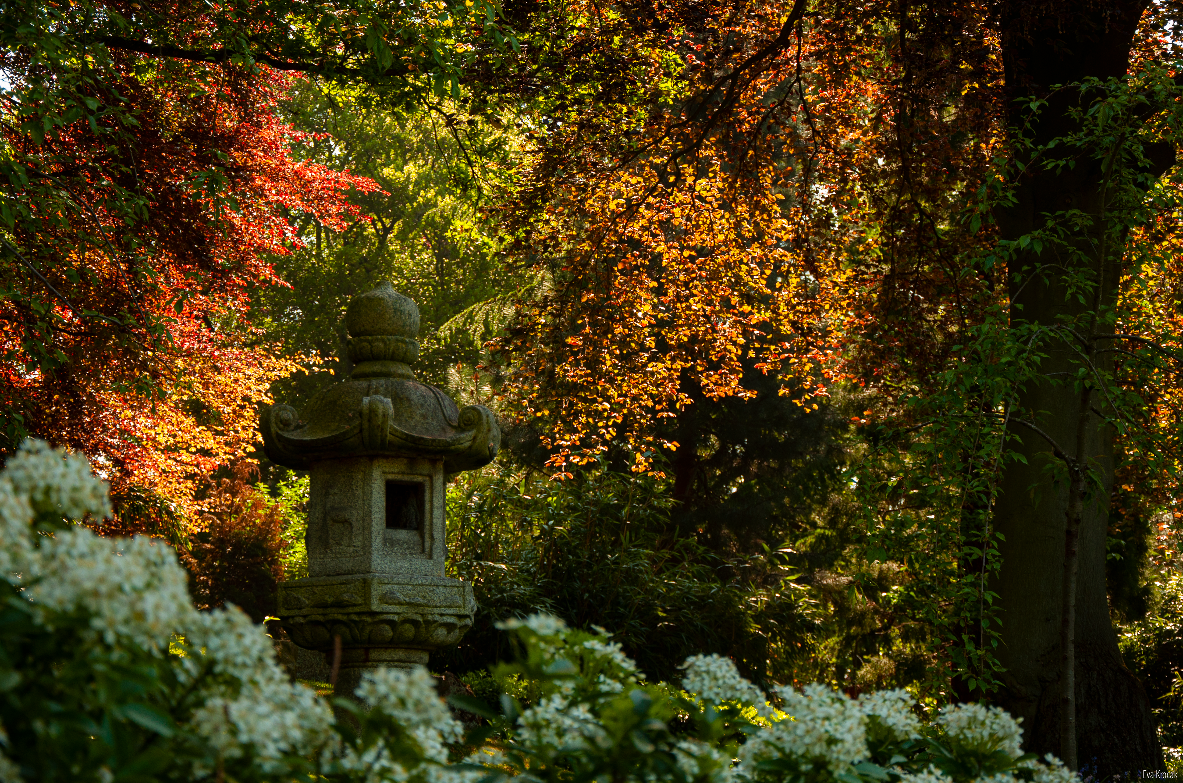 Kyoto Garden