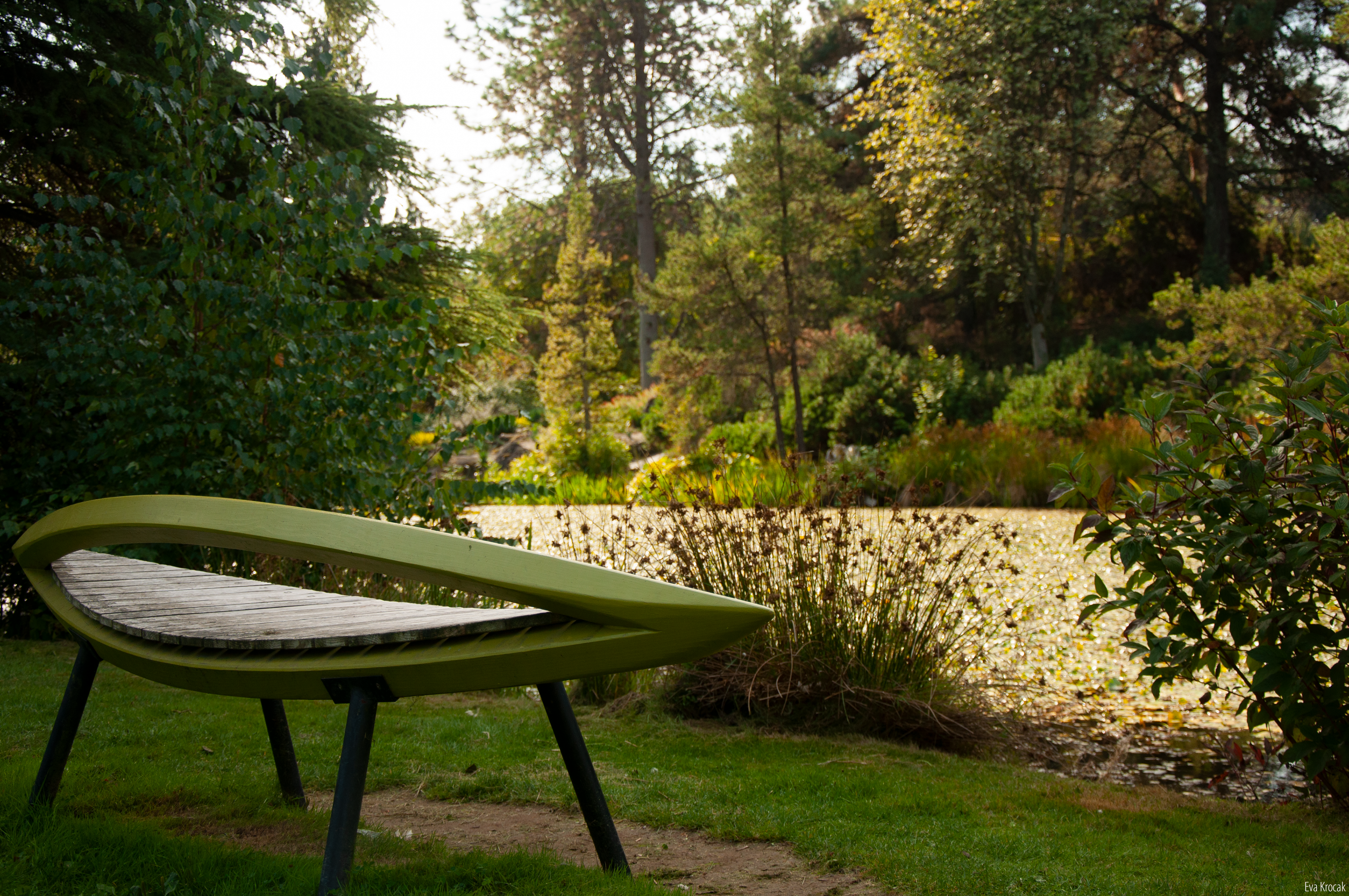 VanDusen Botanical Garden