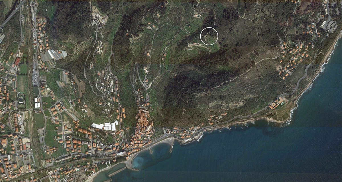 Cervo