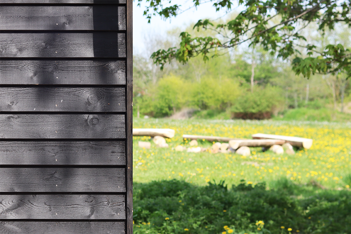 Naturrummet_huset og naturen