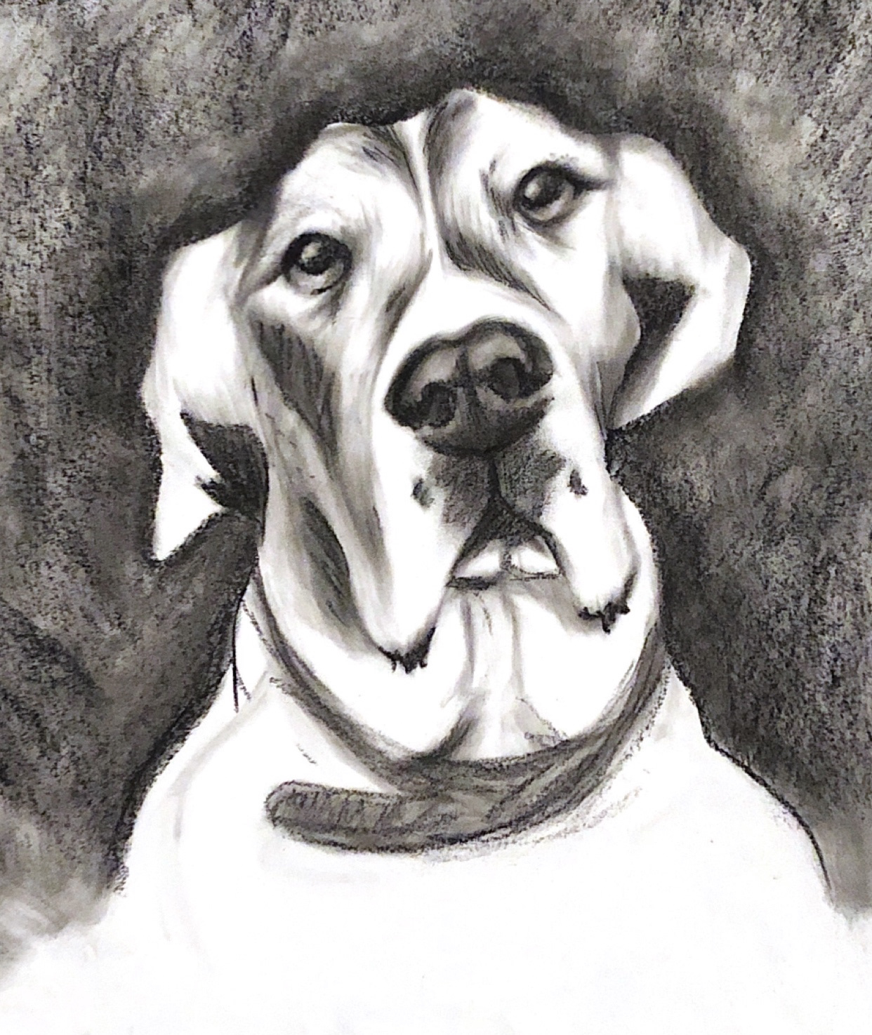 "Max" Charcoal 
