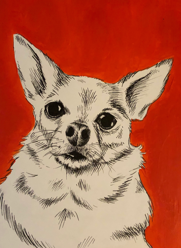"Chihuahua 2" Acrylic and Ink