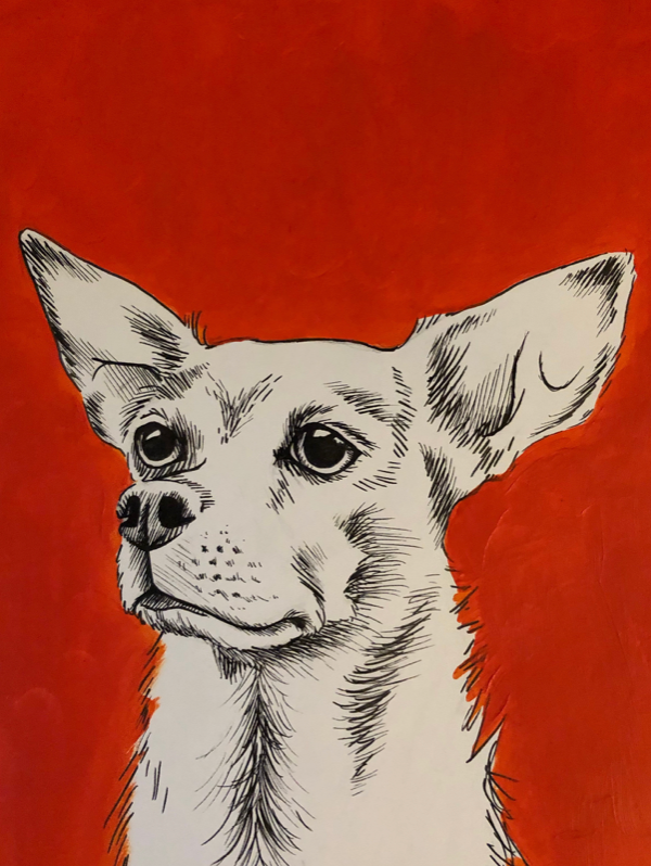 "Chihuahua 1" Acrylic and Ink