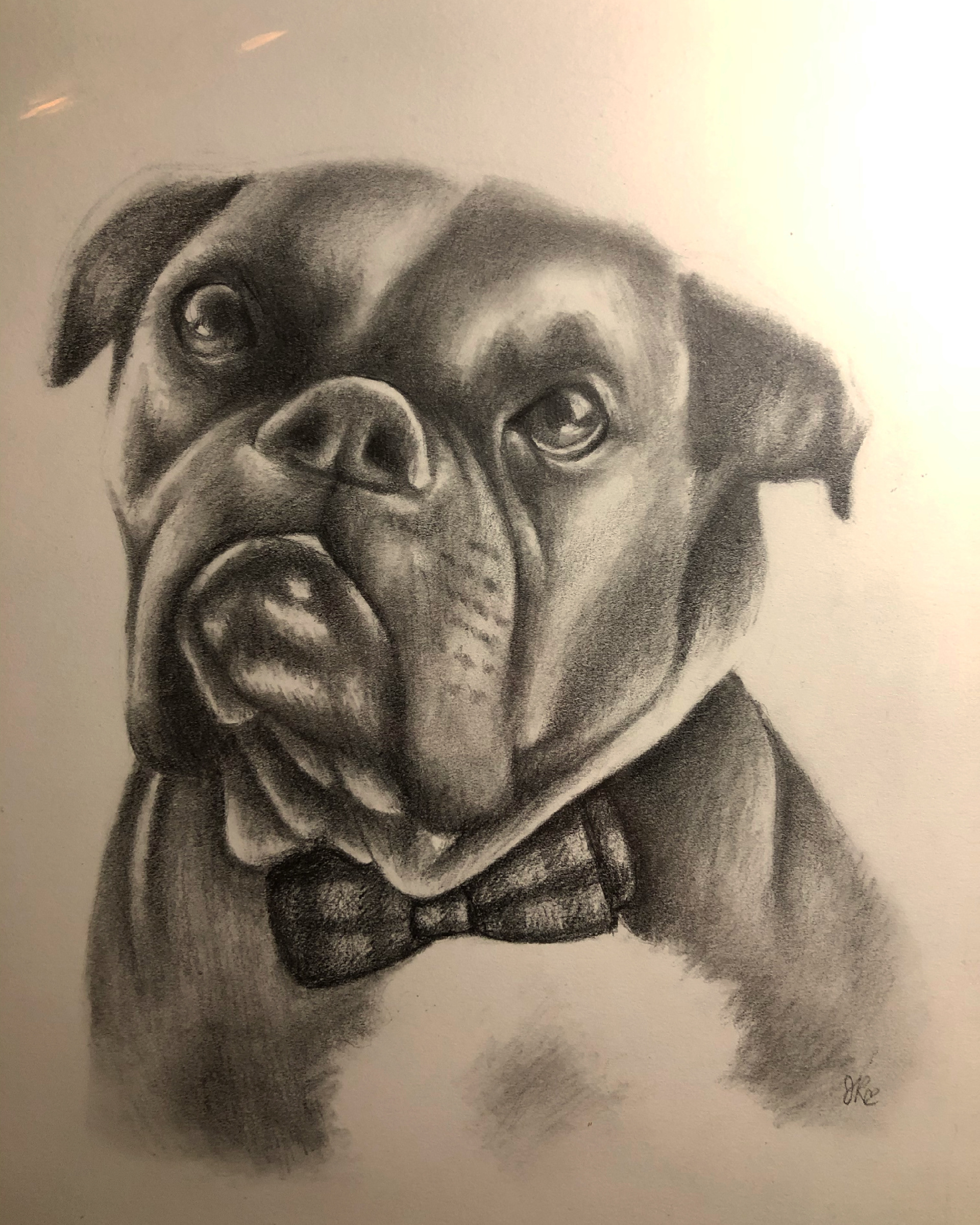 "Boxer" Graphite