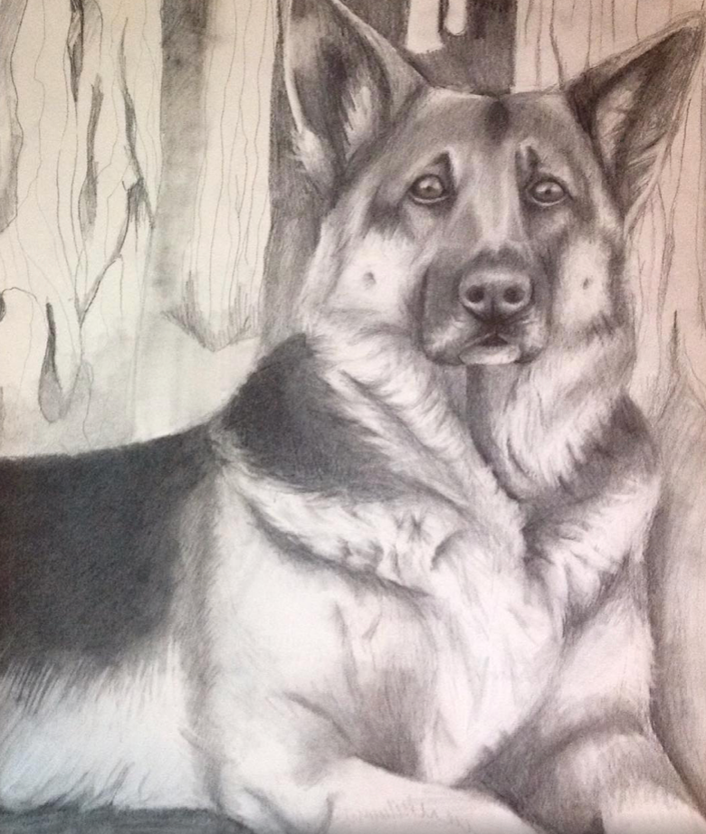 "German Shepherd" Graphite