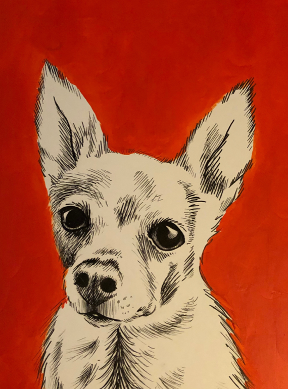 "Chihuahua 3" Acrylic and Ink