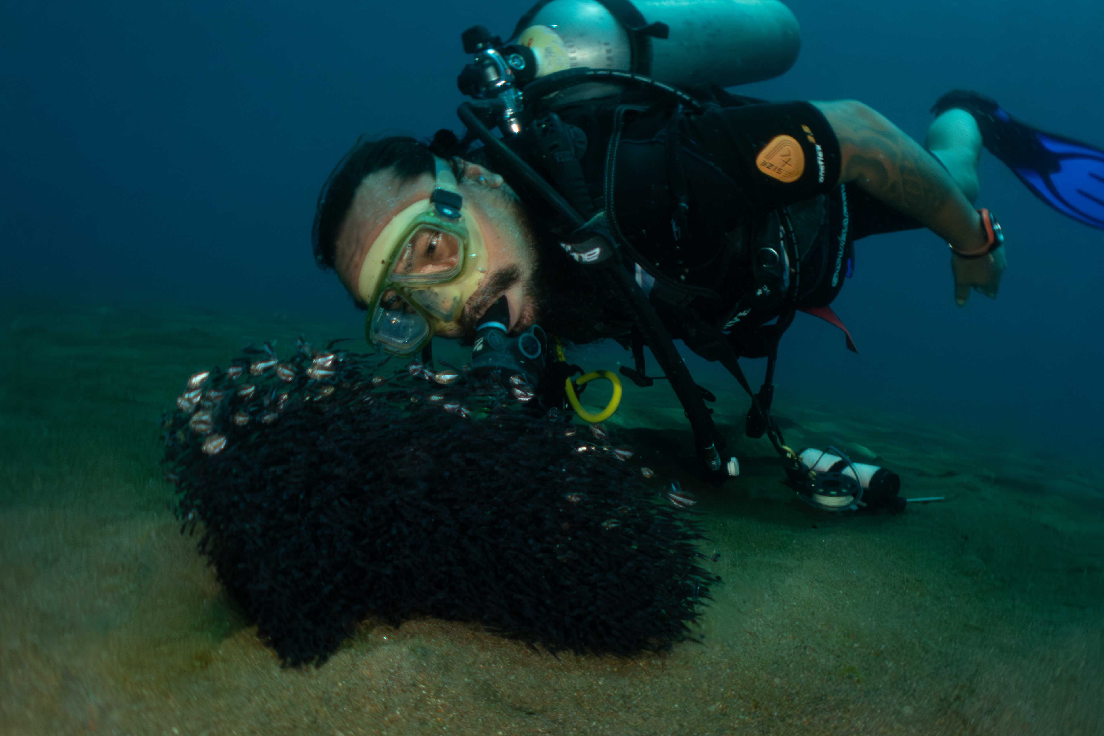 My Guide "Tiger" with a School of Tiny Fish