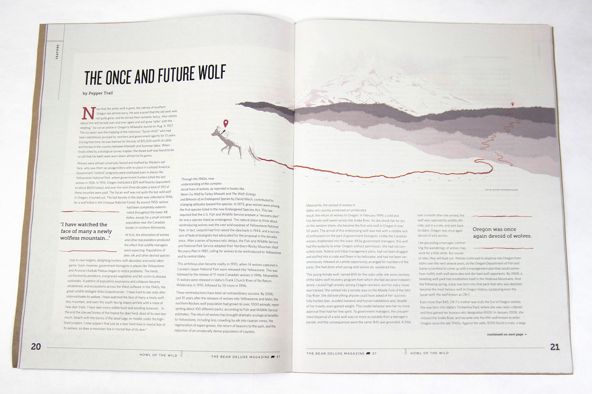 Editorial illustration for Bear Deluxe magazine