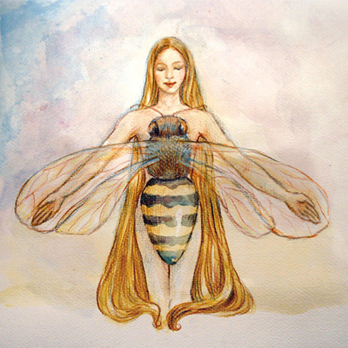 Illustration für ein Honigetikett