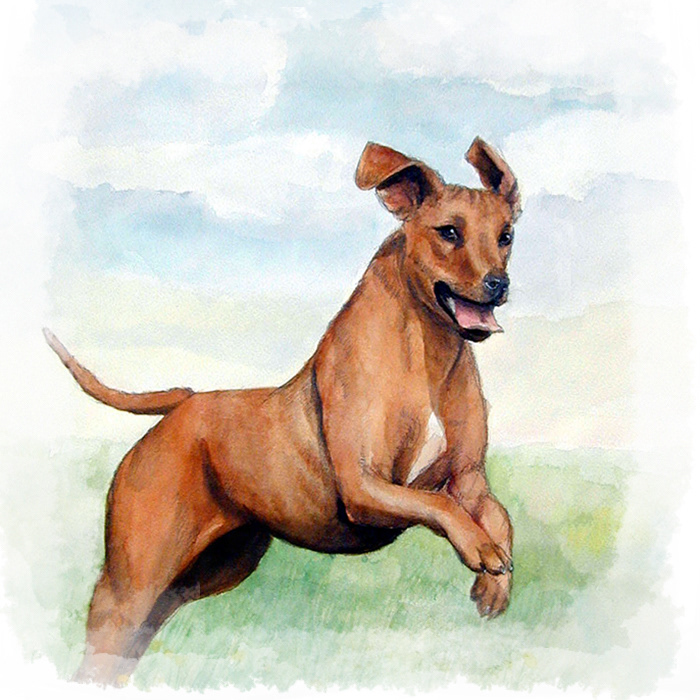 Mischtechnik auf Aquarellpapier