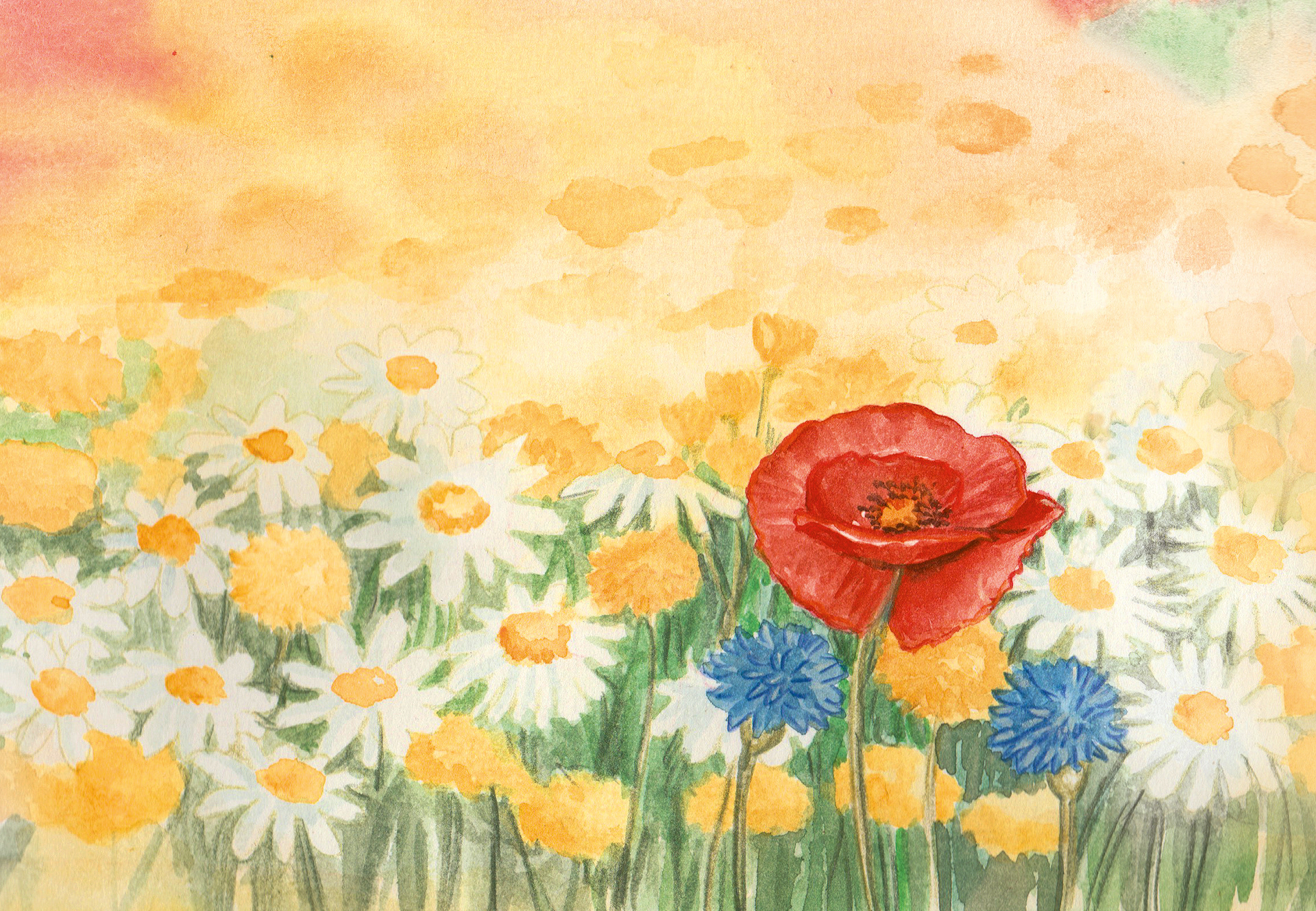 Sommerblumenwiese für Honigetikett