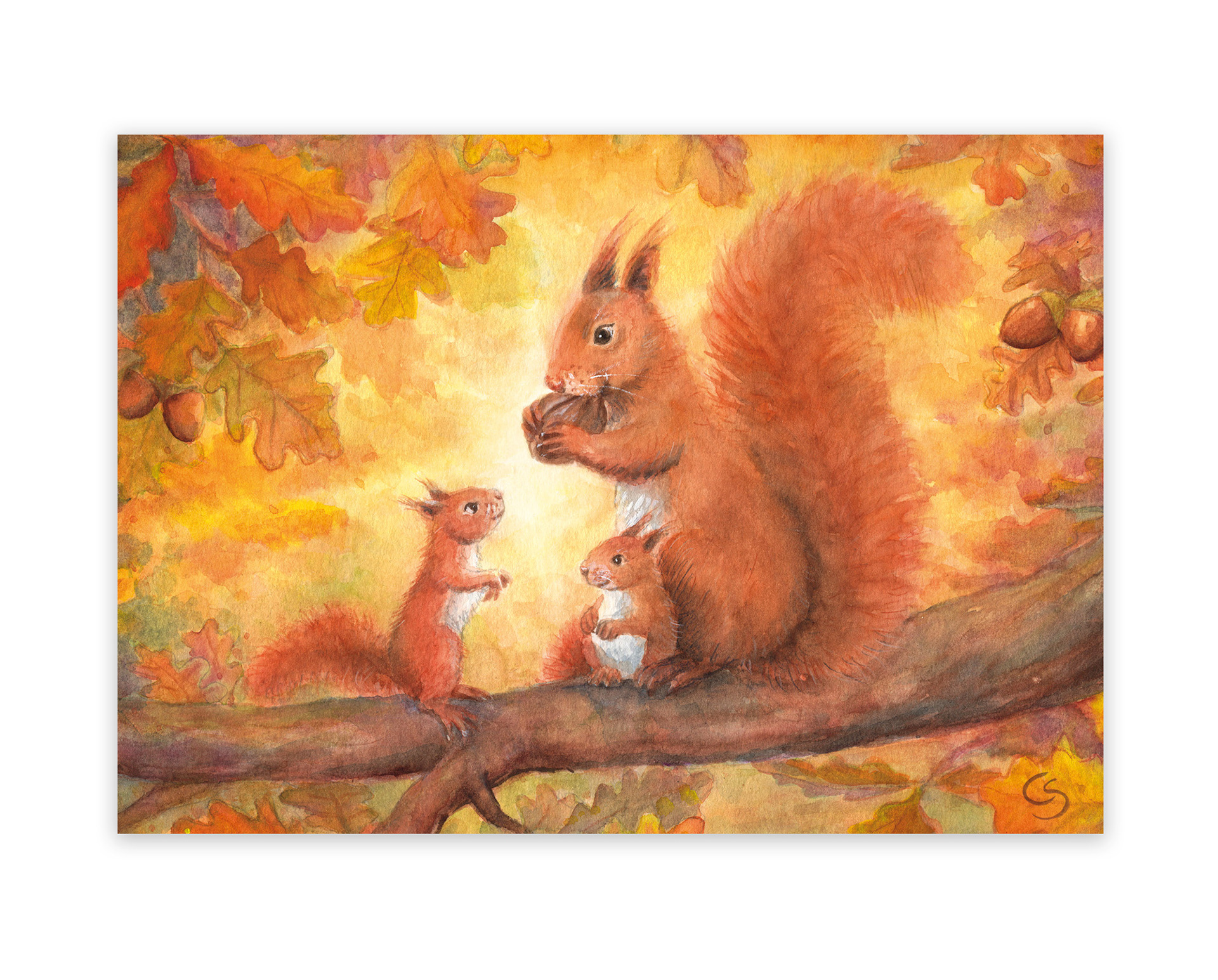 Eichhörnchen im Herbst