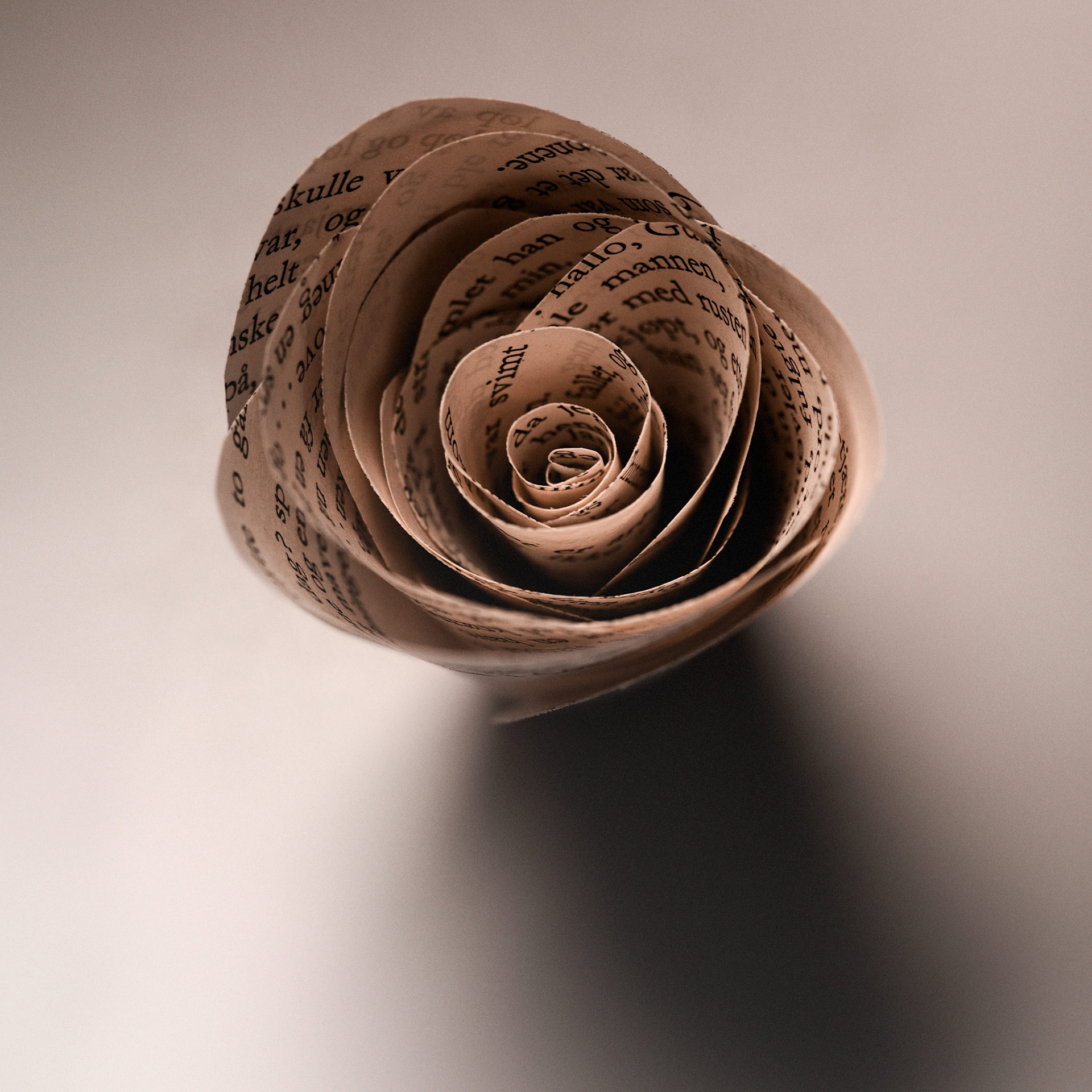 POSTAL PARA SANT JORDI