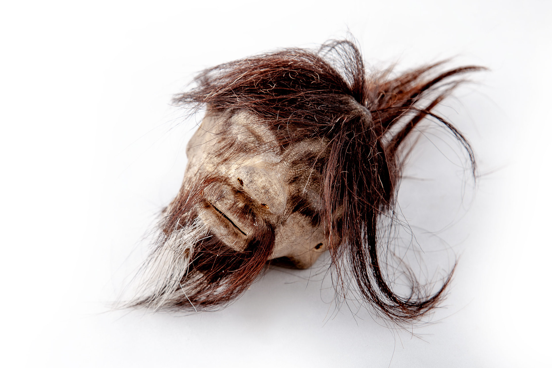 MUSEO ARQUEOLÓGICO PADRE BELDA