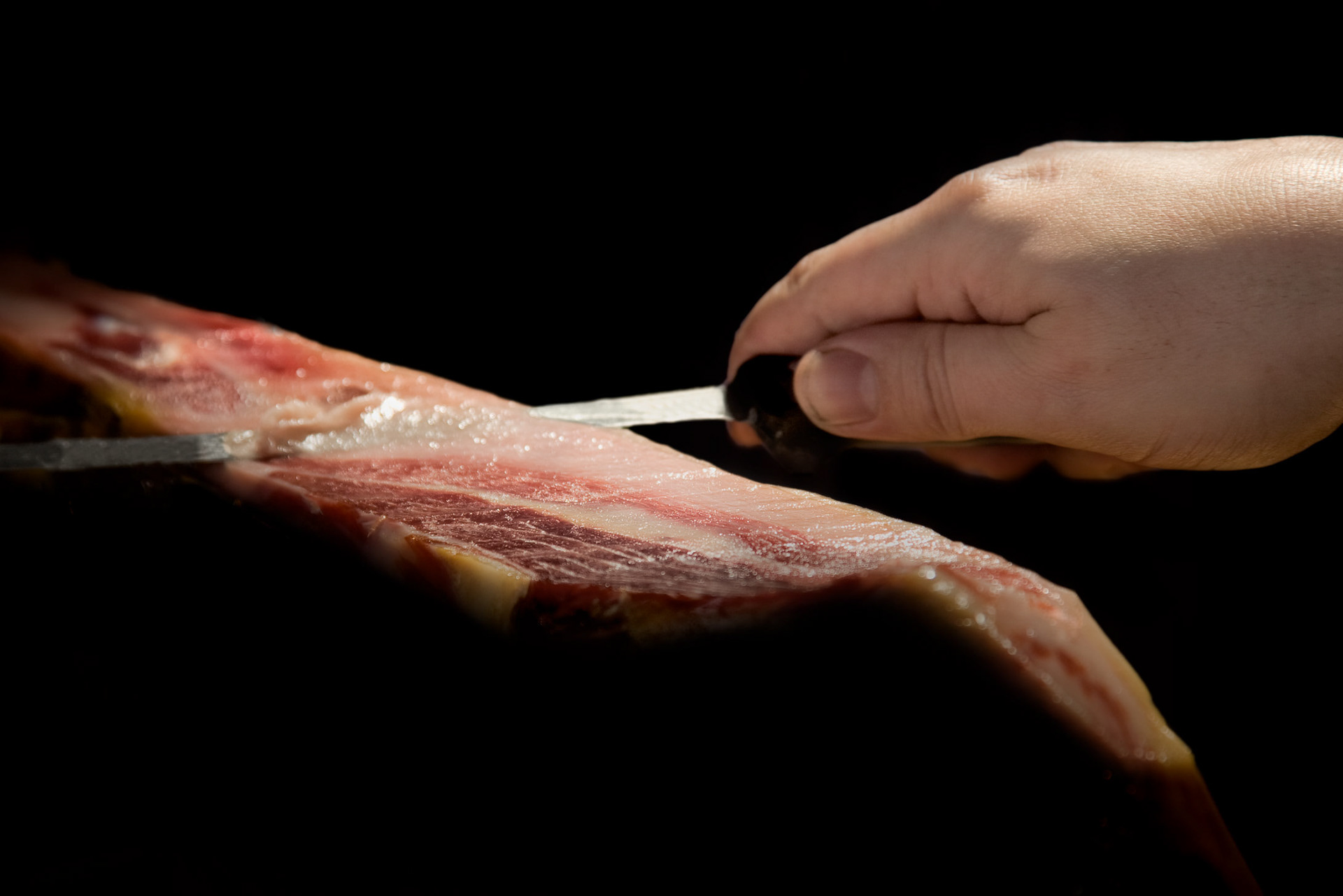 CASTRO Y GONZÁLEZ, GUIJUELO