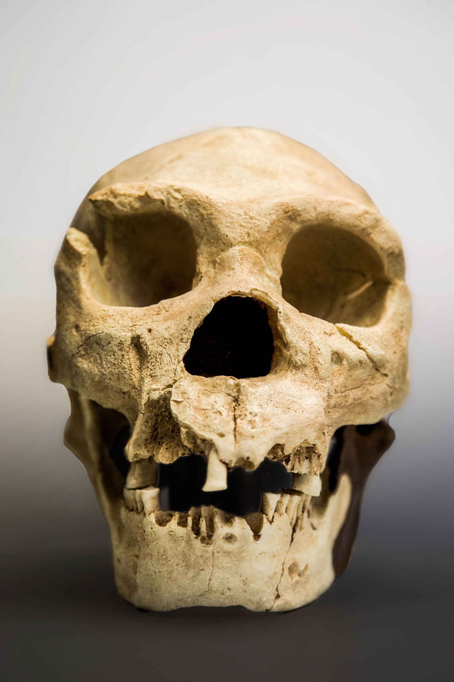 MUSEO ARQUEOLÓGICO PADRE BELDA