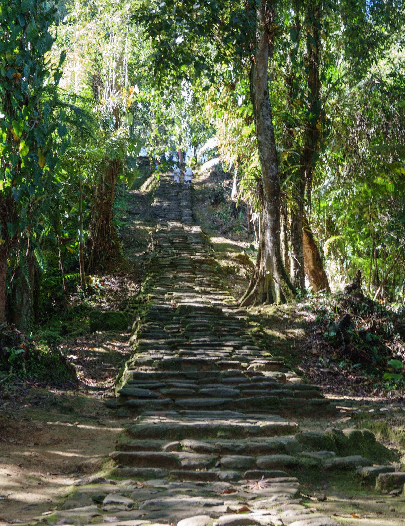 Stairs and walkways, part of the Ciudad Perdida