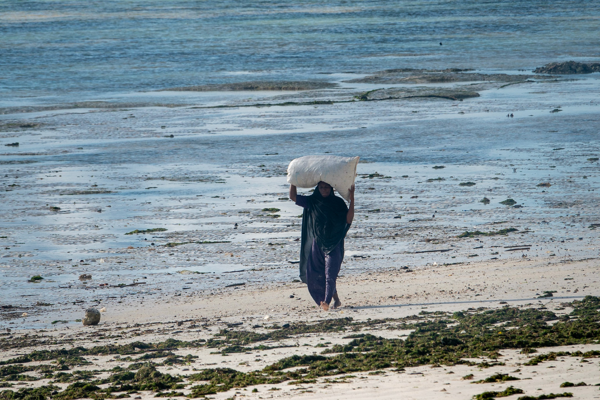 Jambiani Beach, Zanzibar, Tanzania