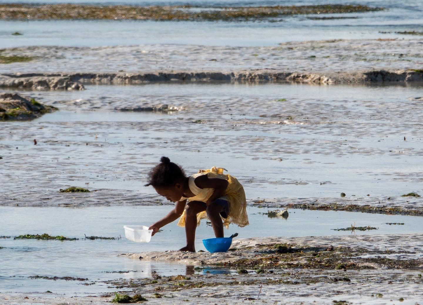 Jozani Beach, Zanzibar, Tanzania