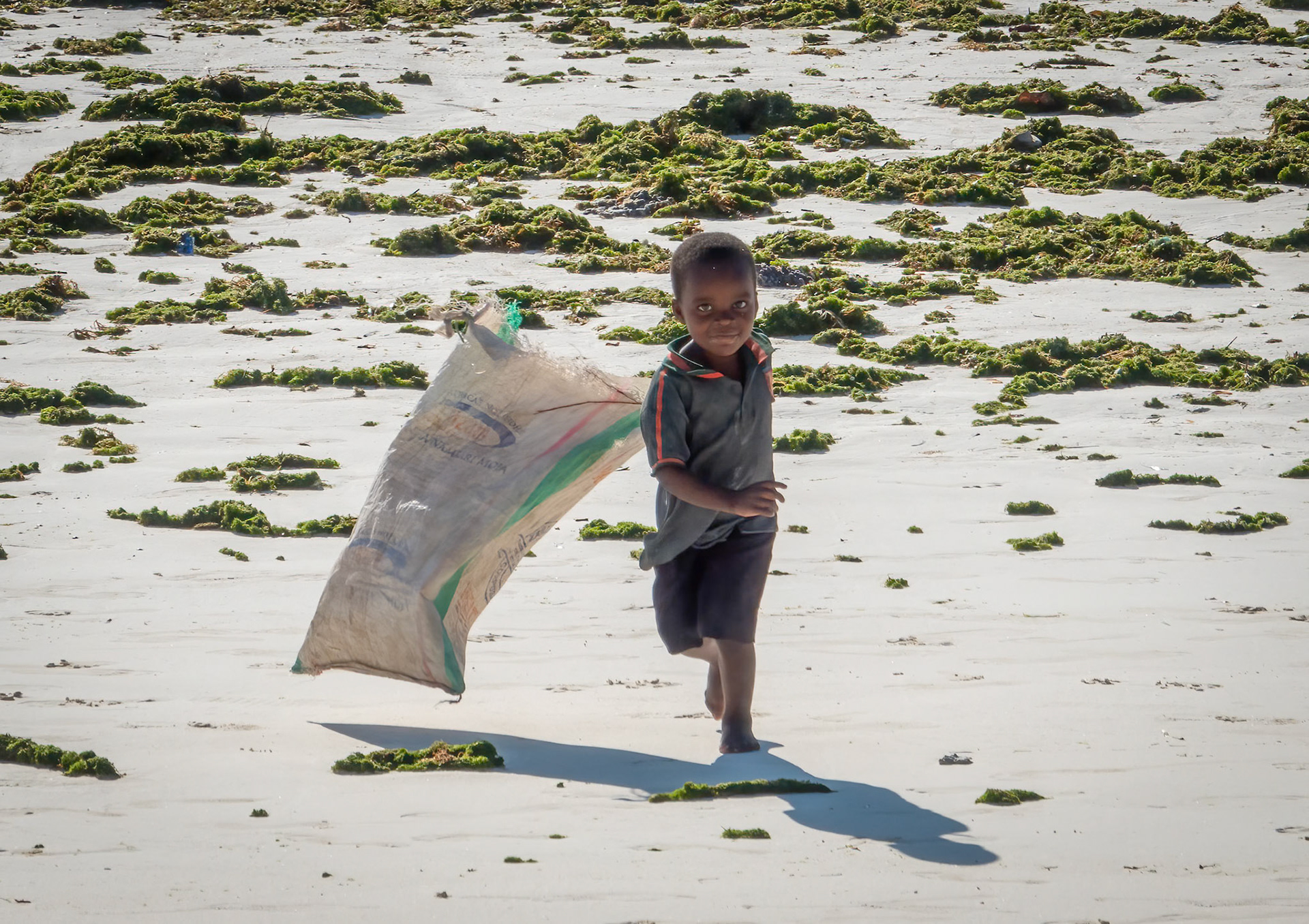 Jambiani Beach, Zanzibar, Tanzania