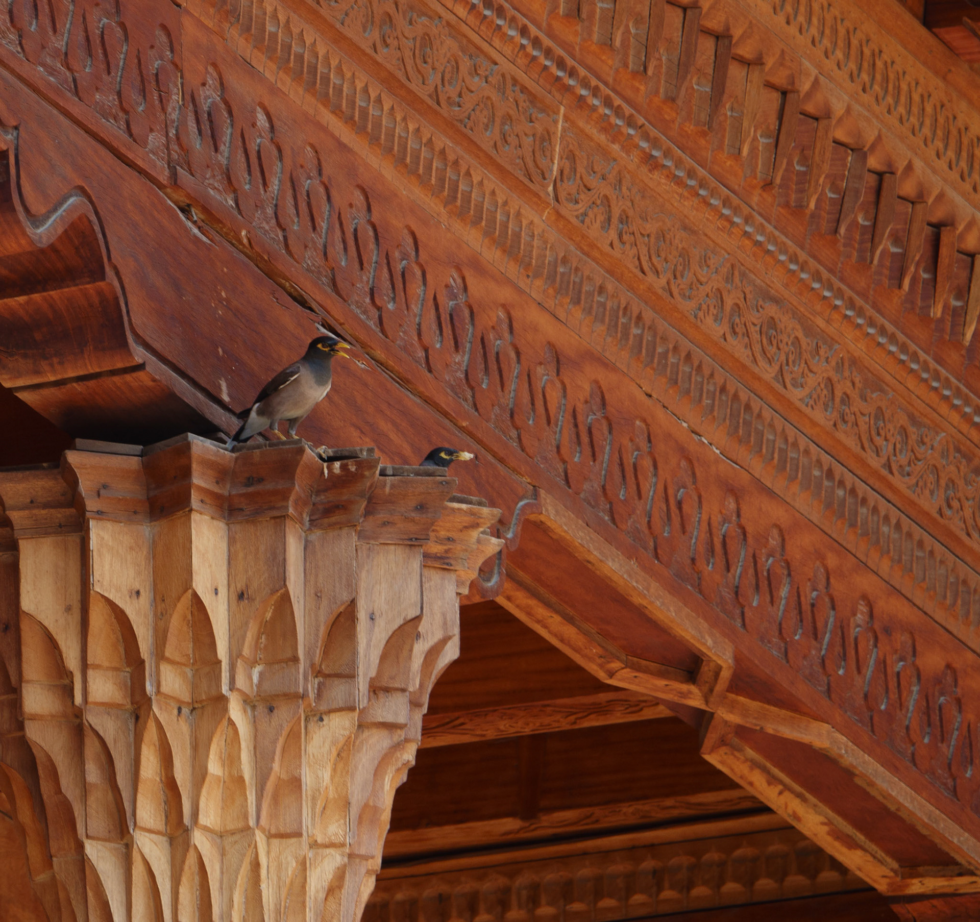 Kukeldash Madrasah, Tashkent
