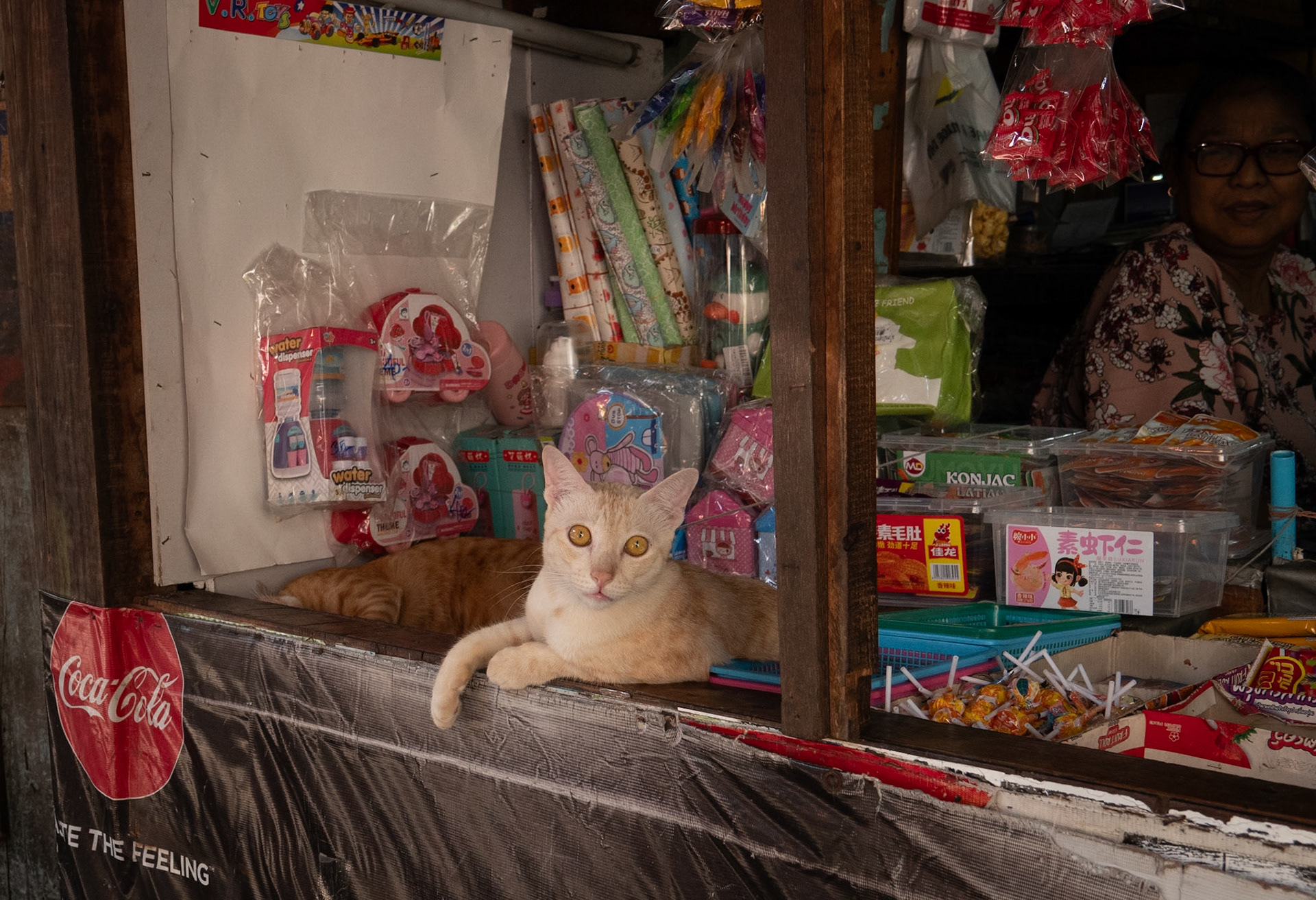 Storekeeper cat @ Khlong Toei slum