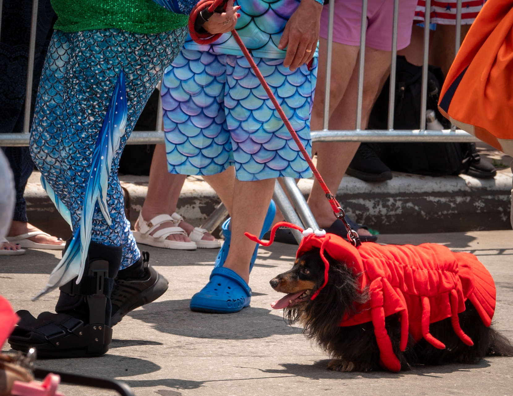 Coney Island, Mermaid Parade 2025