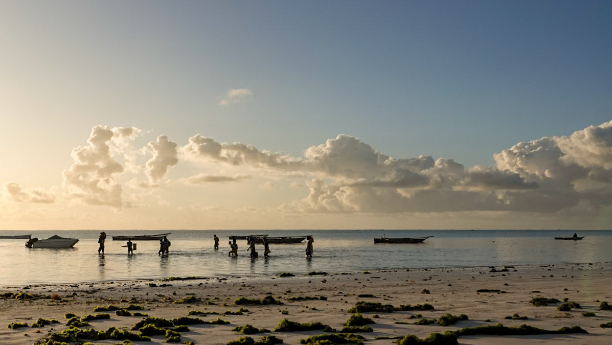 Jambiani Beach, Zanzibar, Tanzania