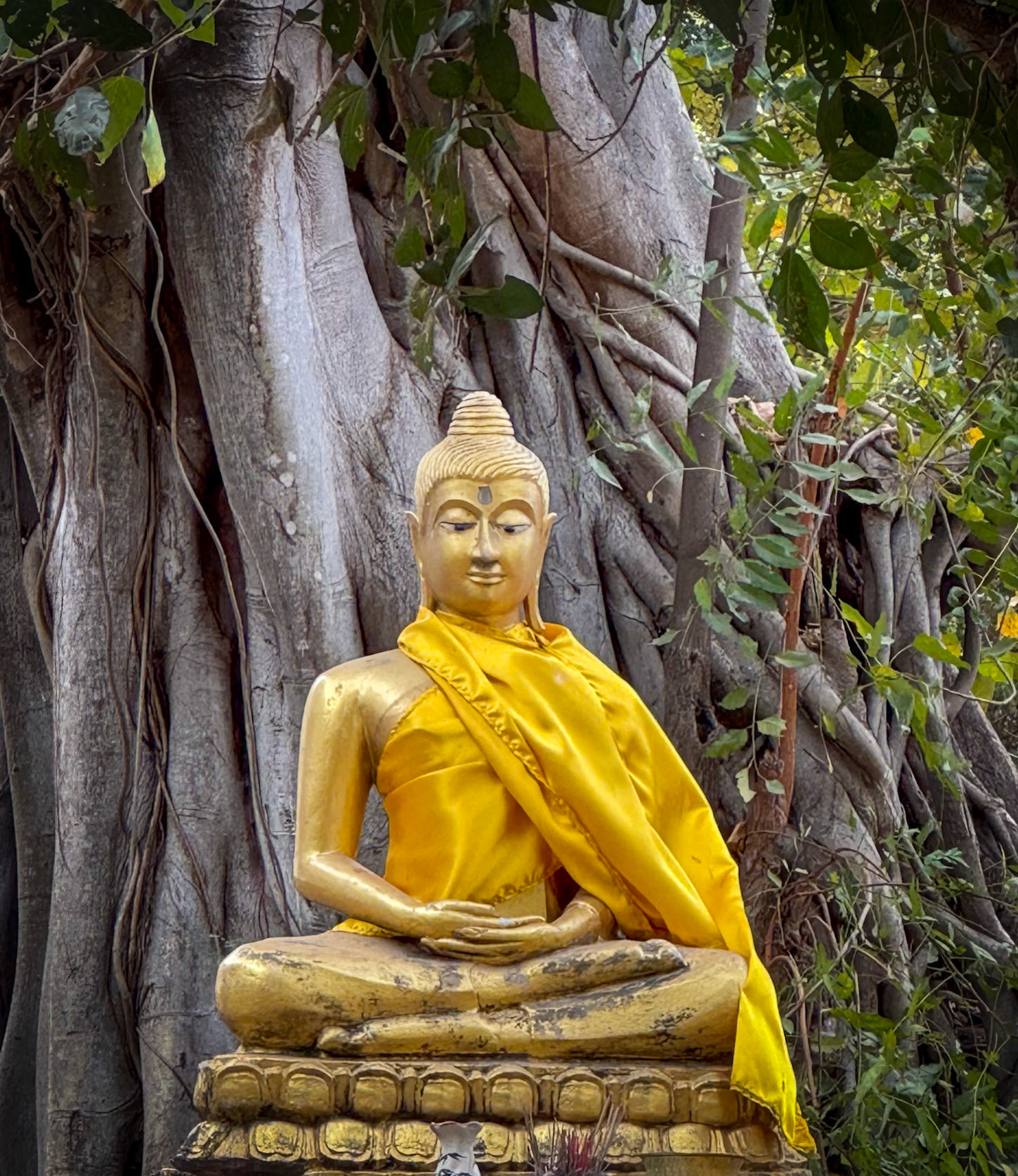 Ayutthaya